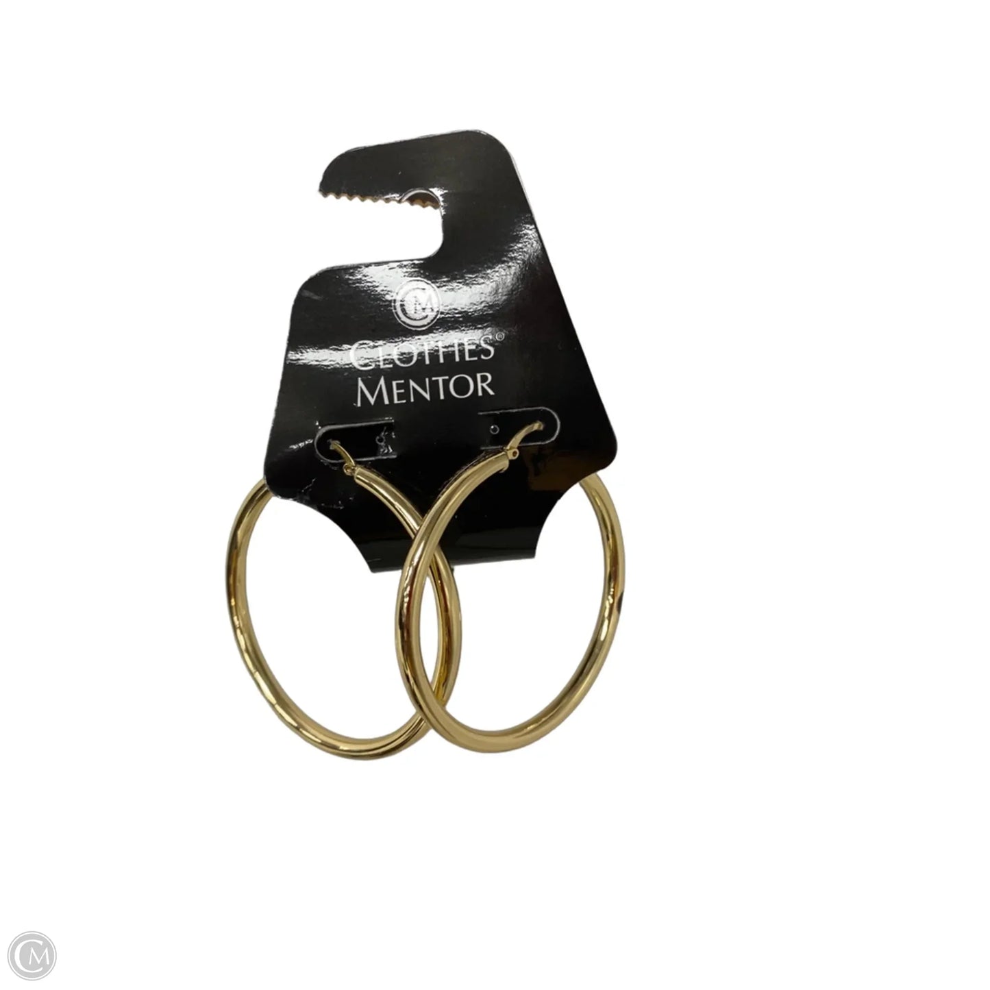 Earrings Hoop By Clothes Mentor