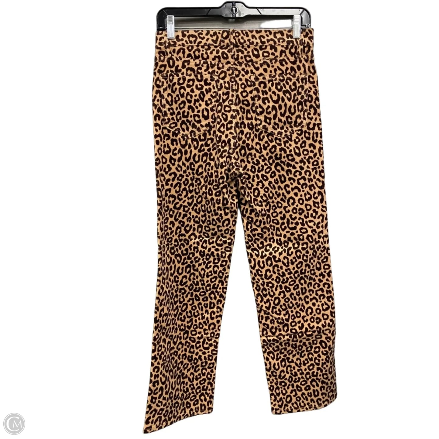 Pants Corduroy By Ann Taylor In Animal Print, Size: 2
