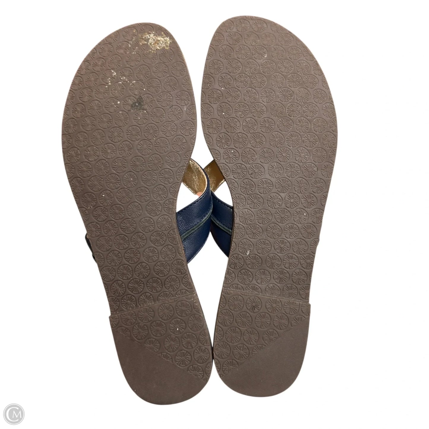 Sandals Designer By Lilly Pulitzer In Blue, Size: 9