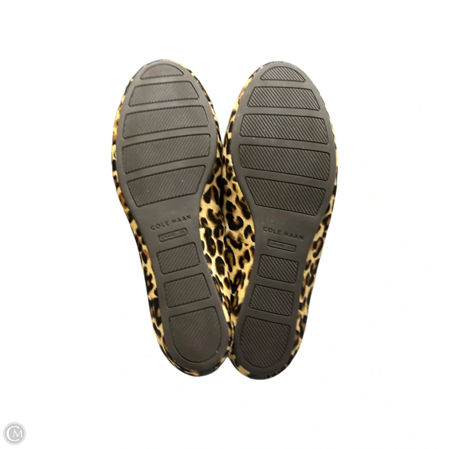 Shoes Flats By Cole-haan In Leopard Print, Size: 6