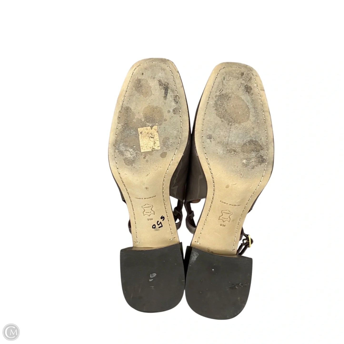 Shoes Designer By Tory Burch In Taupe, Size: 9