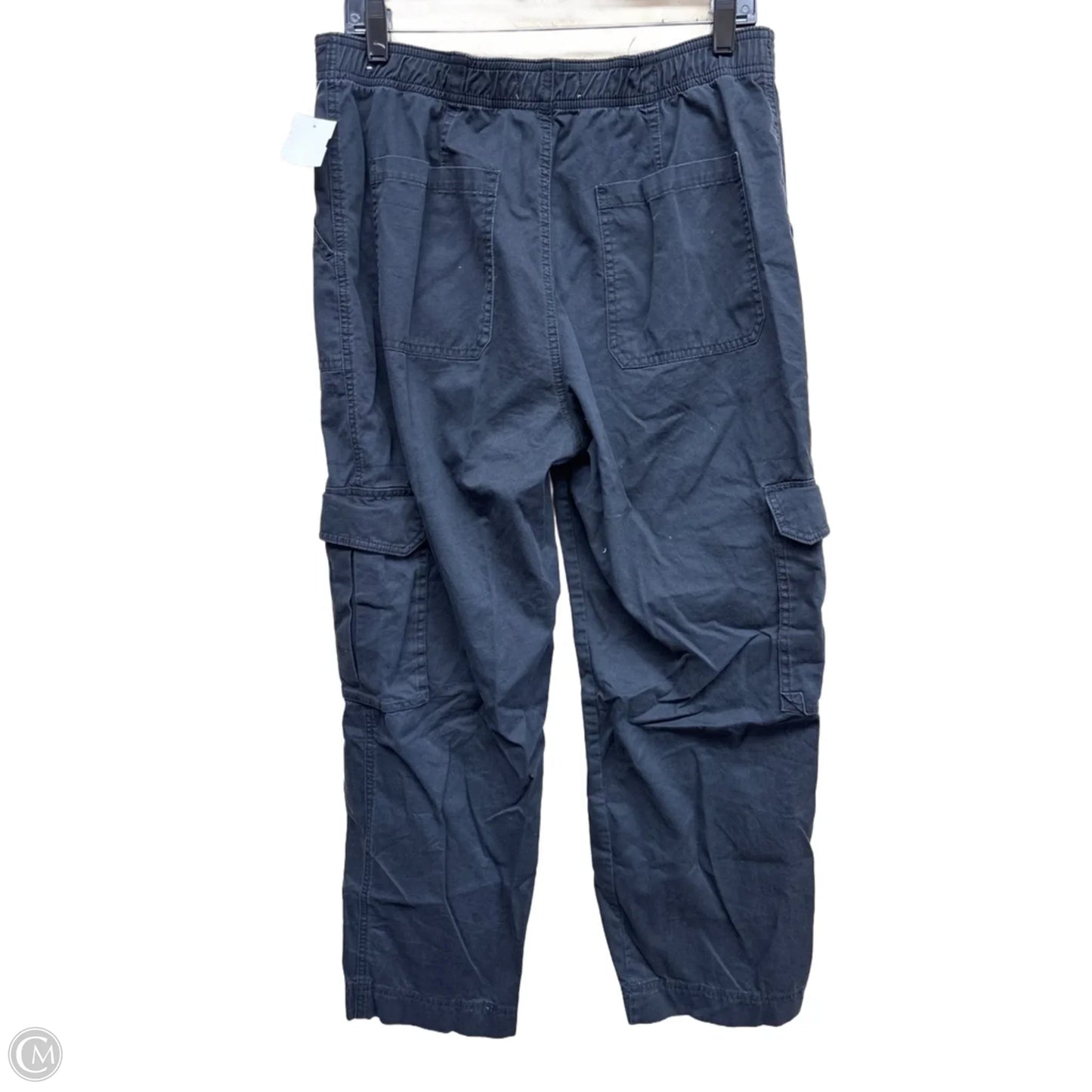 Pants Cargo & Utility By Abercrombie And Fitch In Grey, Size: 12