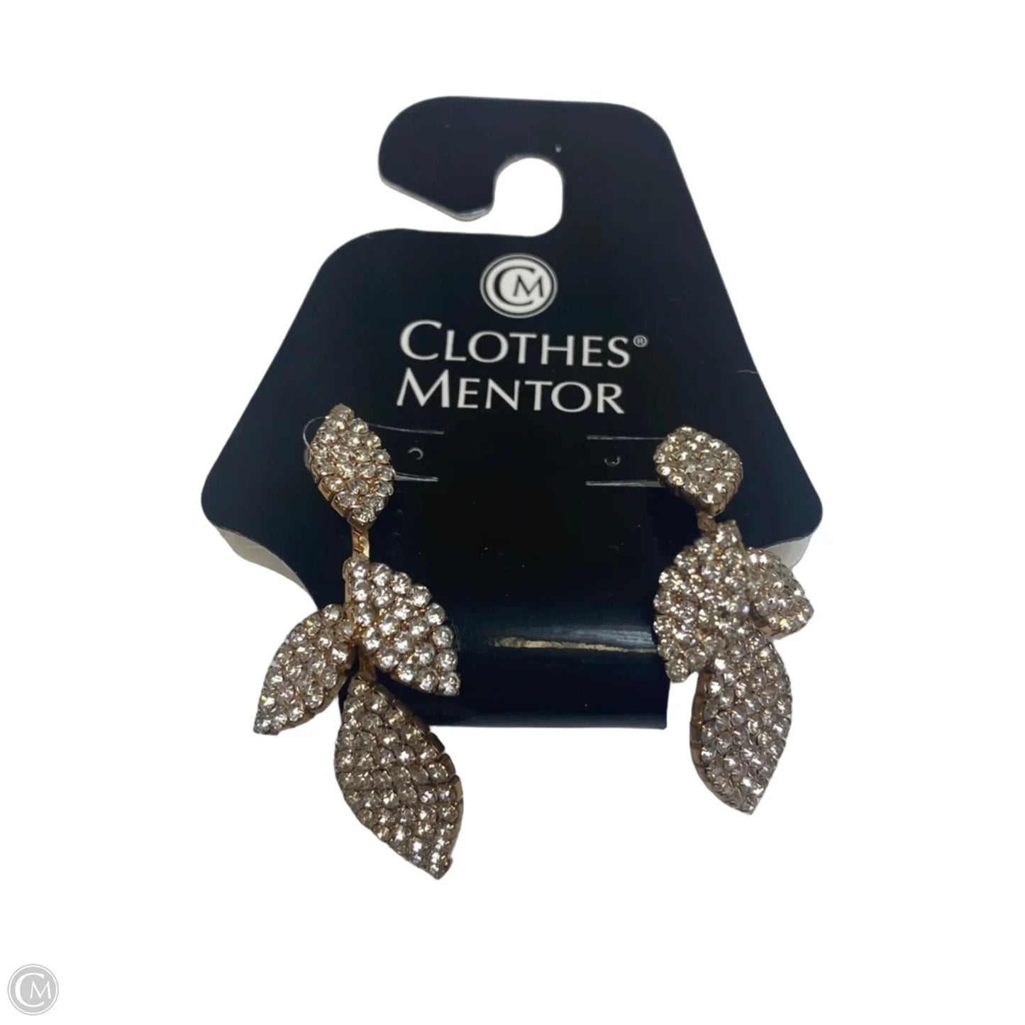 Earrings Dangle/drop By Clothes Mentor