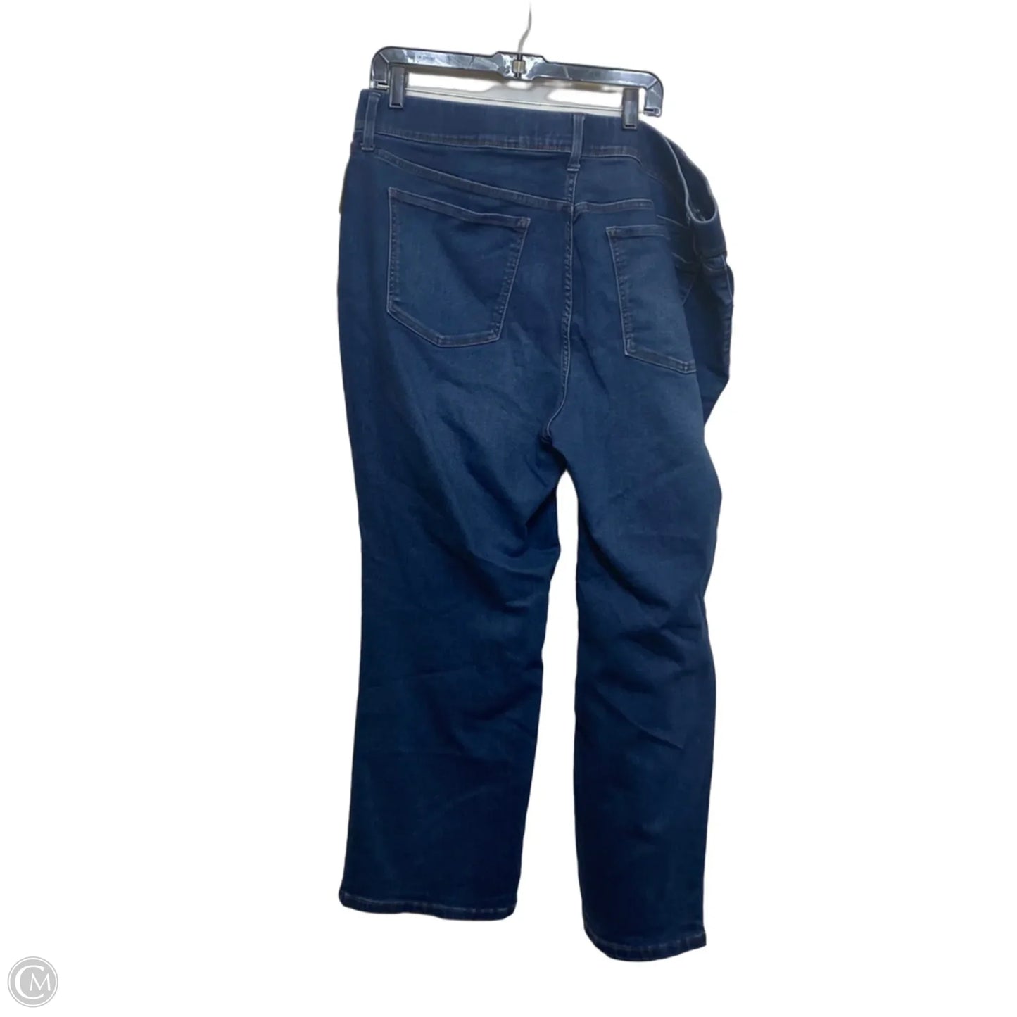 Jeans Jeggings By Terra & Sky In Blue Denim, Size: 2x