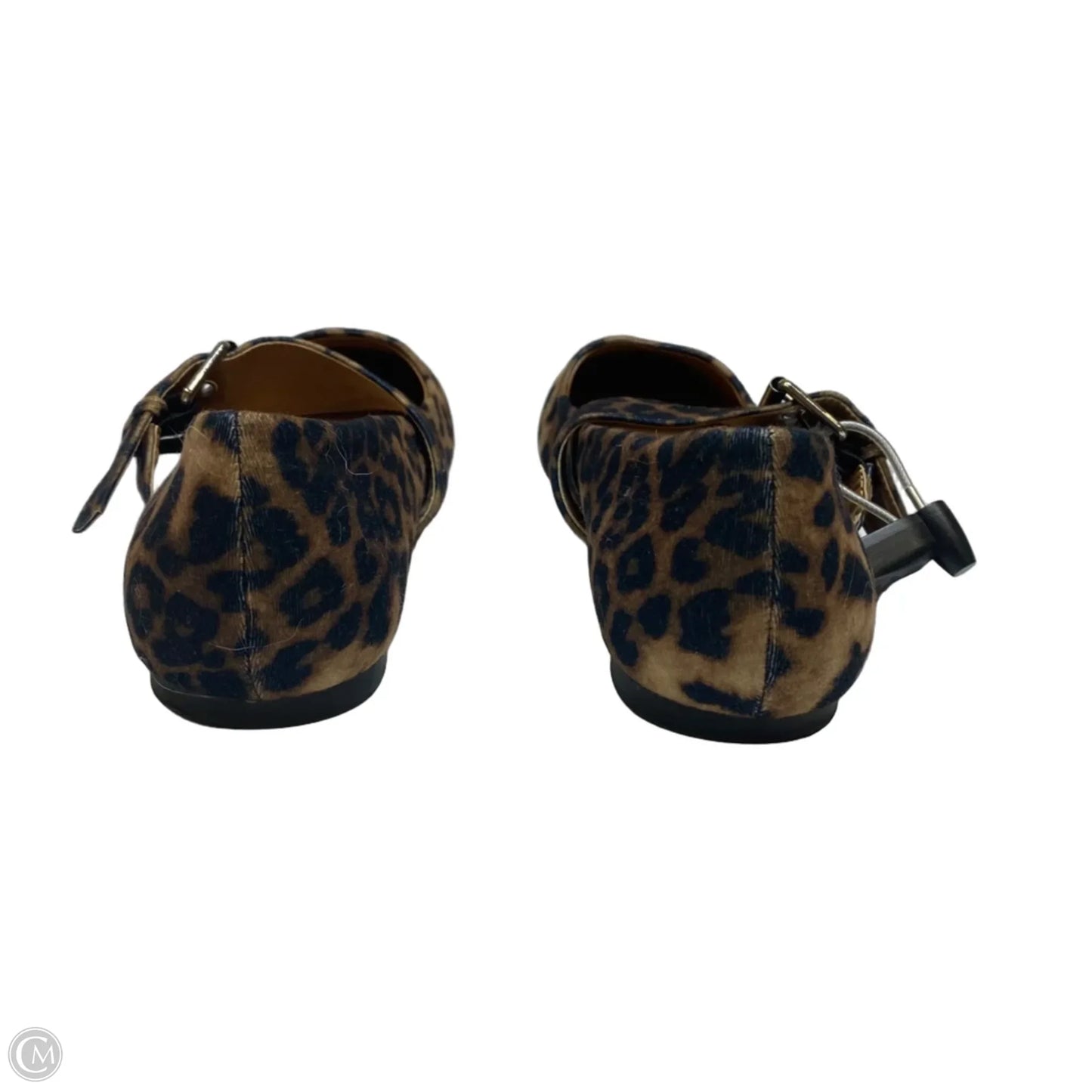 Shoes Flats By Dolce Vita In Animal Print, Size: 8.5