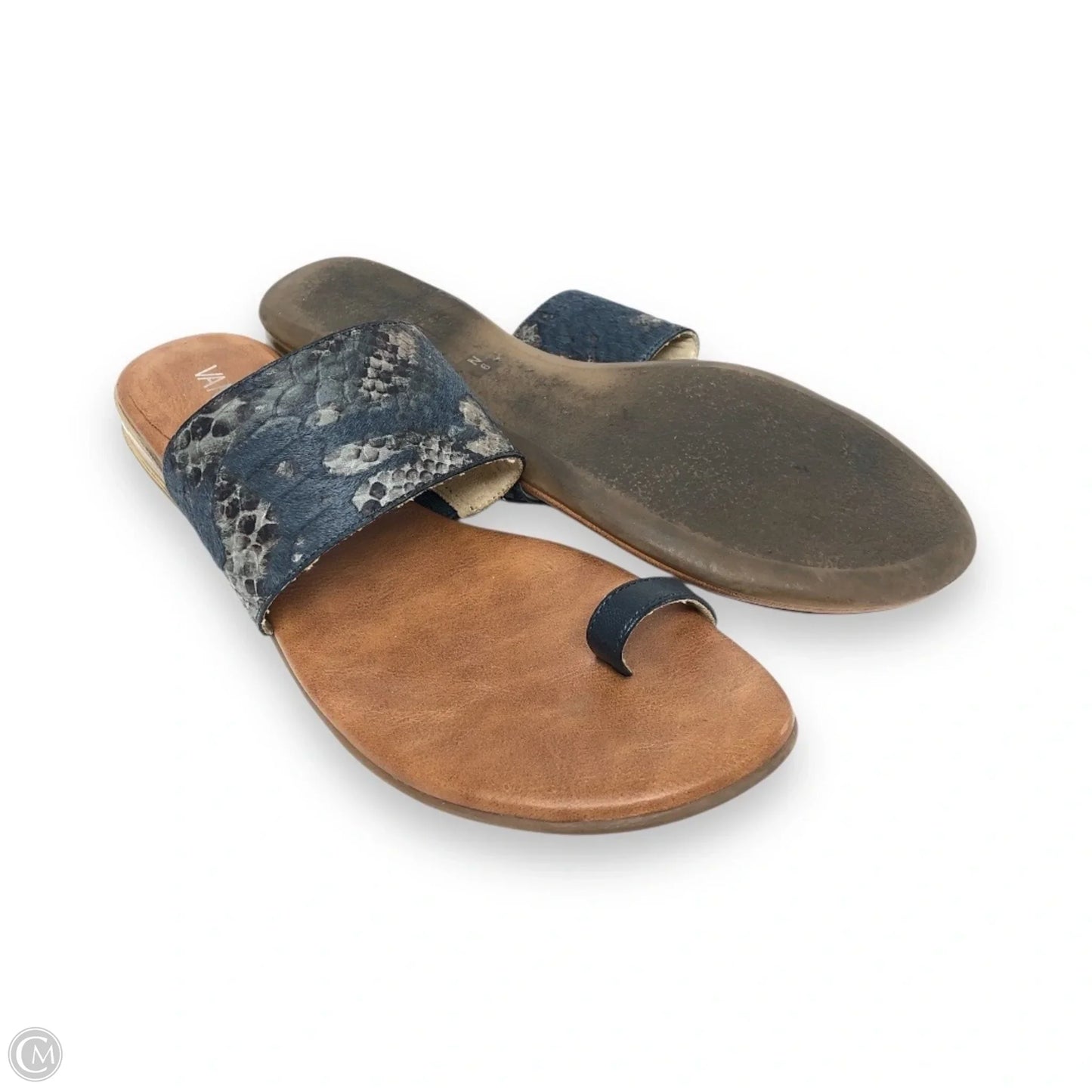 Sandals Flats By Vaneli In Blue & Grey