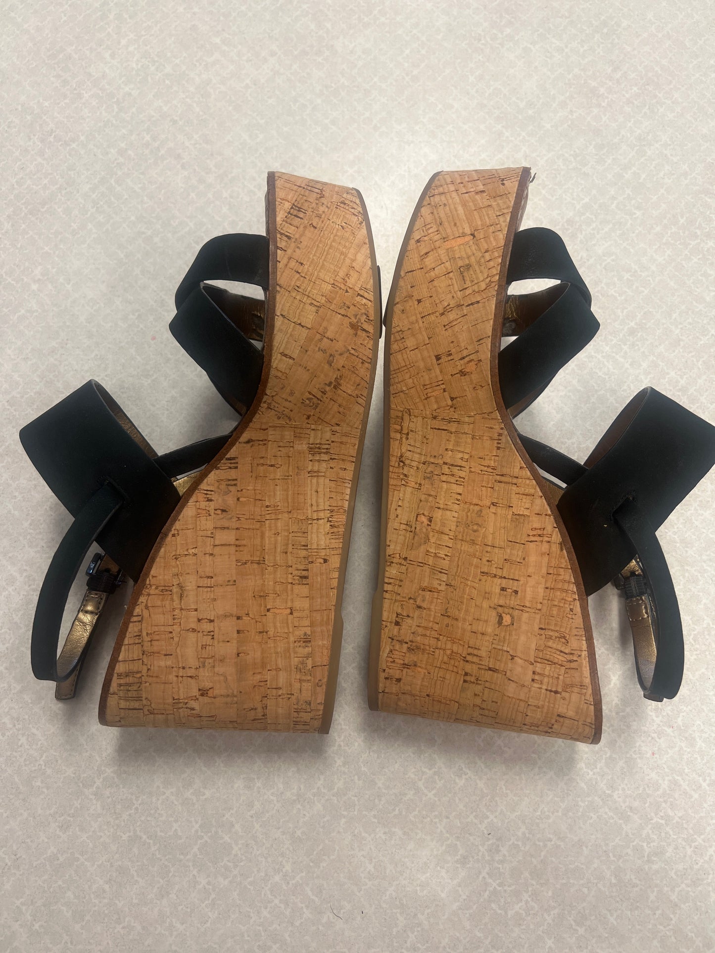 Shoes Heels Wedge By Sam Edelman Size: 10