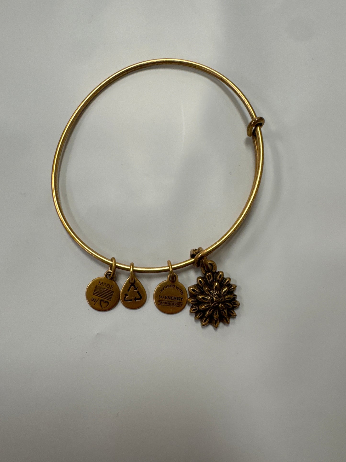 Bracelet Bangle By Alex And Ani