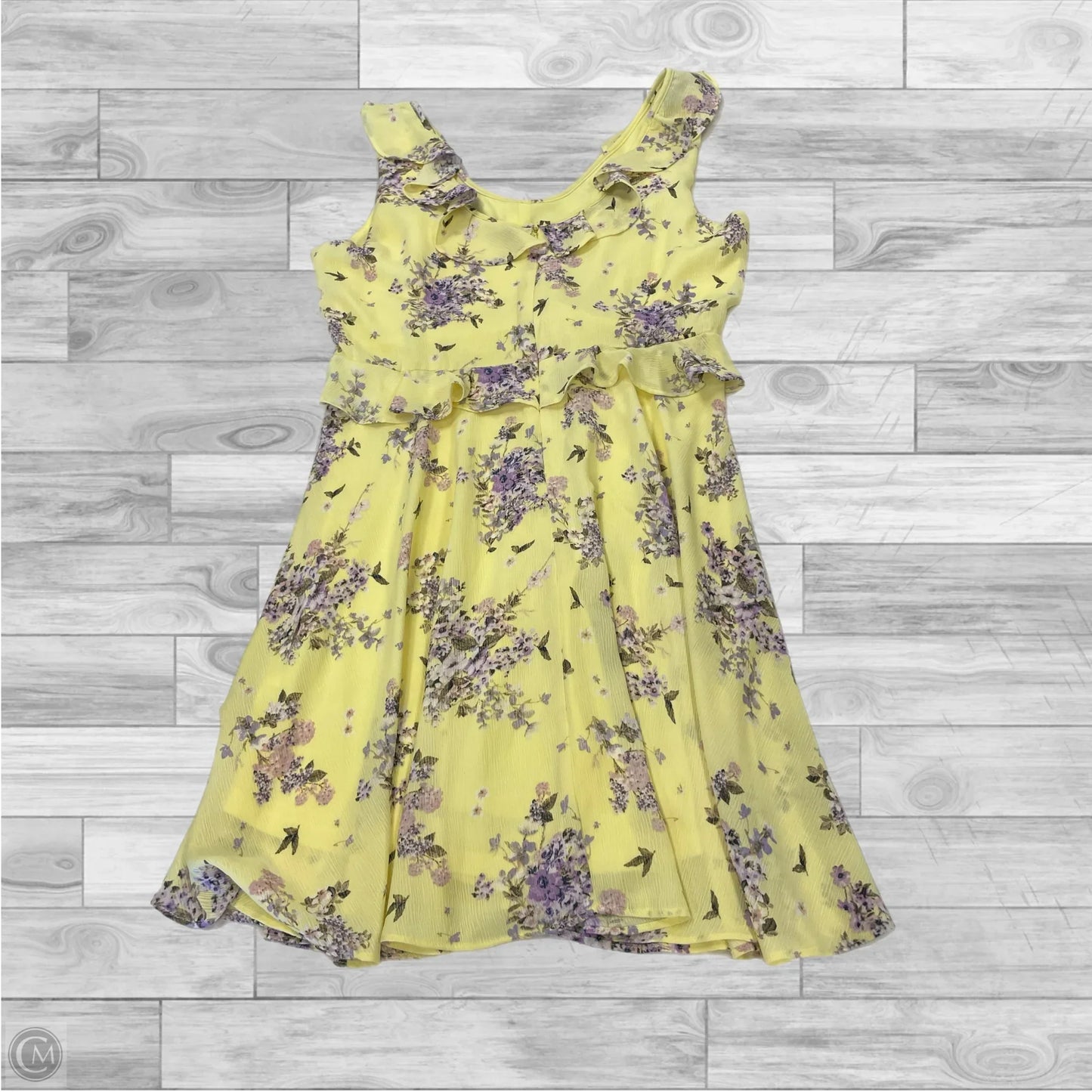 Dress Casual Short By Gianni Bini In Zebra Print, Size: Xl