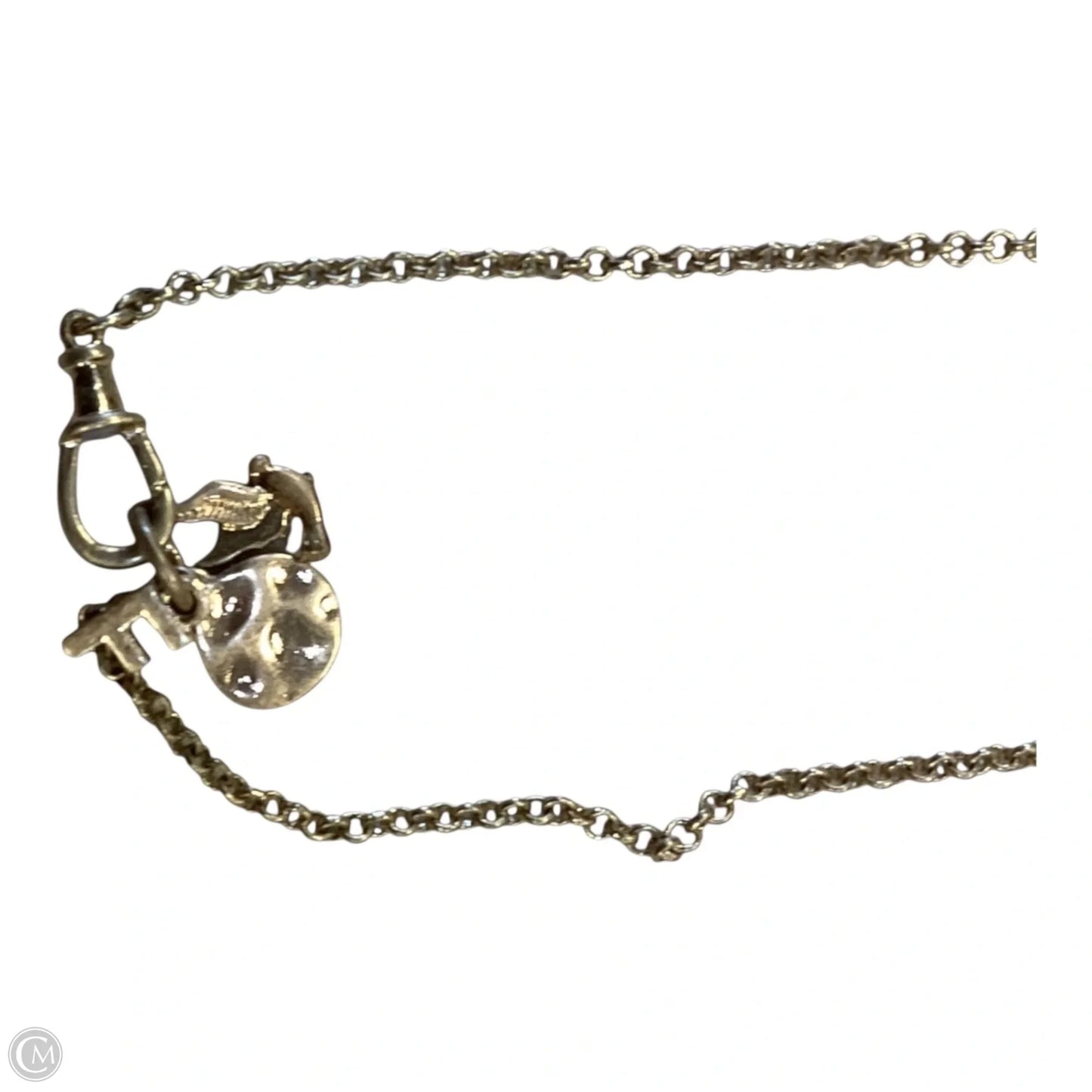 Necklace Chain By Clothes Mentor