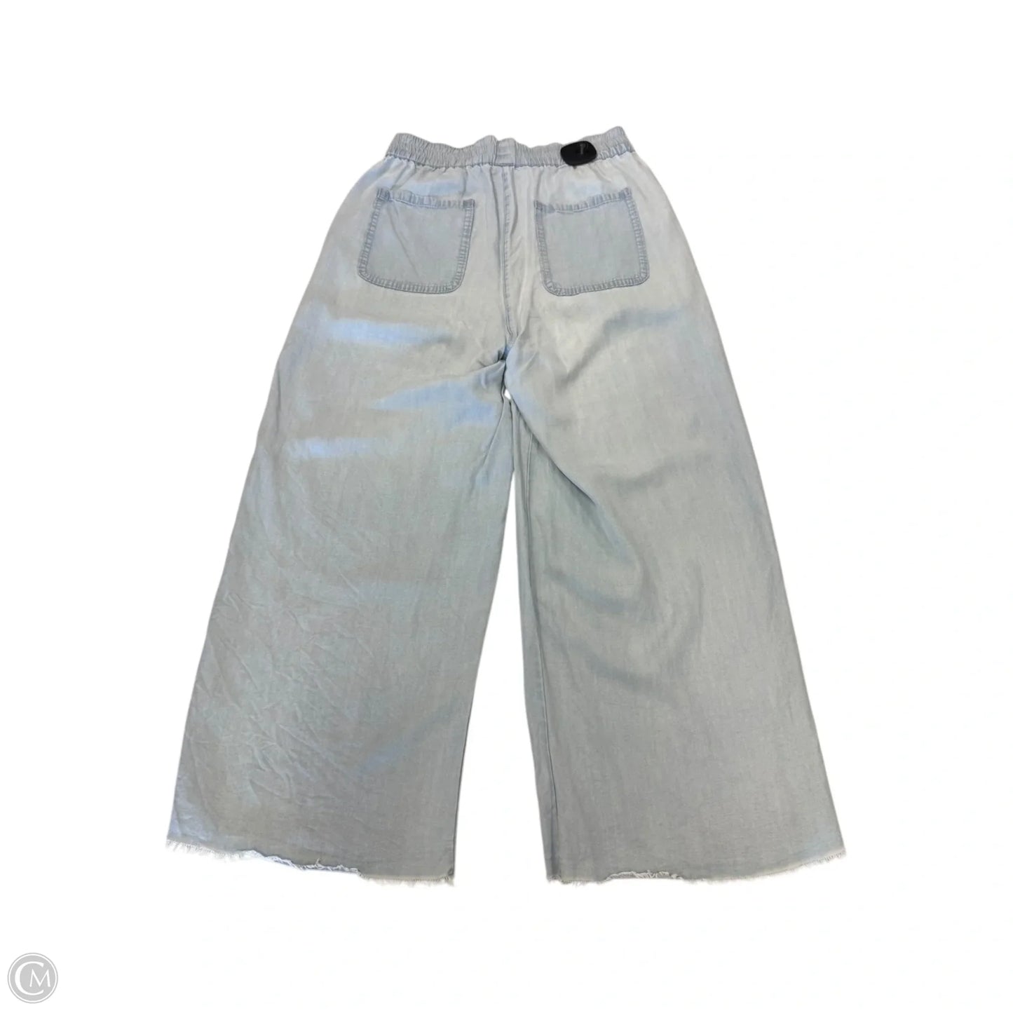 Pants Other By Carve Designs In Blue, Size: S