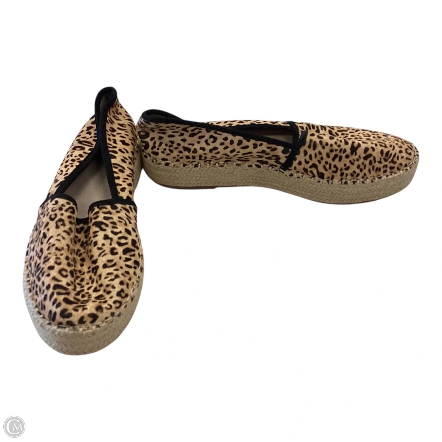Shoes Flats By Gianni Bini In Animal Print, Size: 10