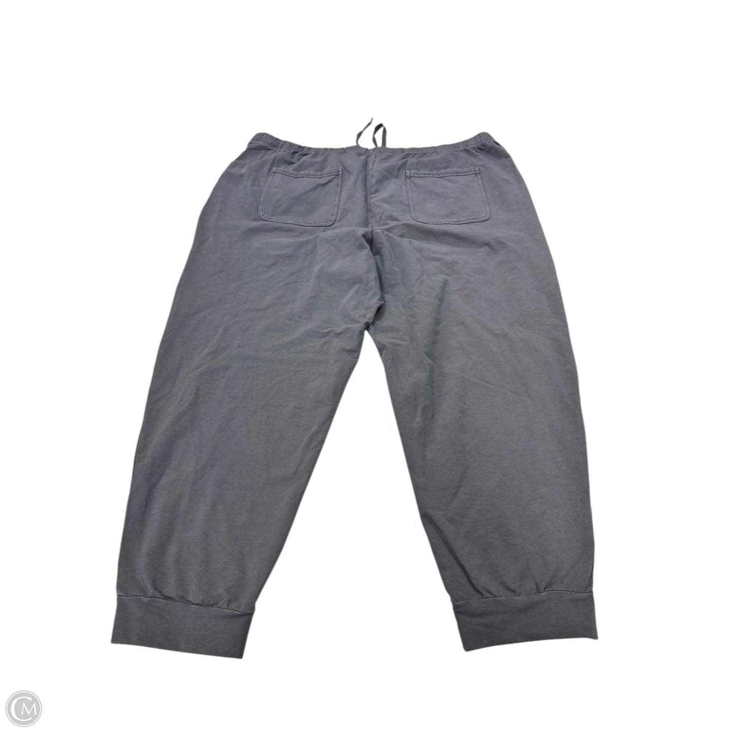 Pants Other By Terra & Sky In Grey, Size: 3x