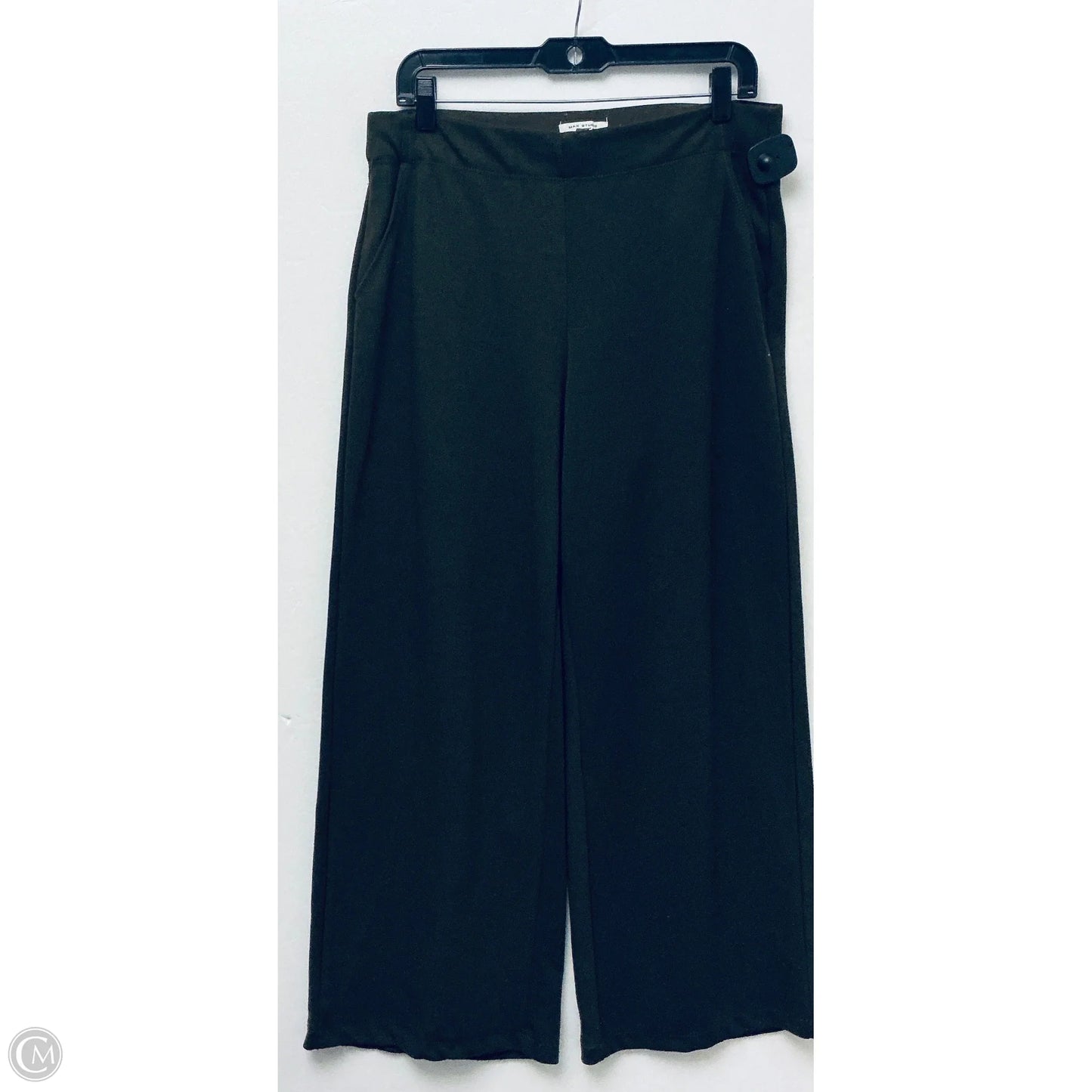 Pants Set 2pc By Max Studio In Green, Size: L