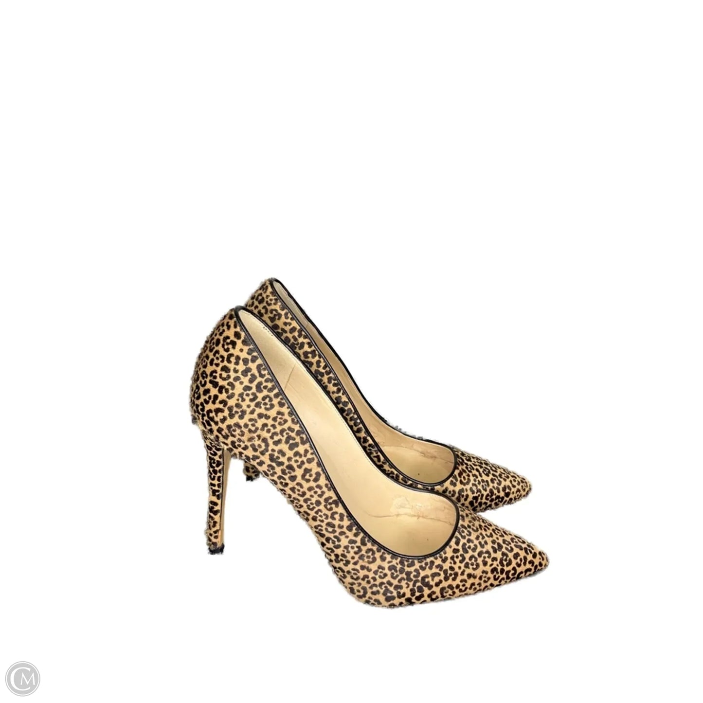 Shoes Heels Kitten By Nine West In Animal Print, Size: 8