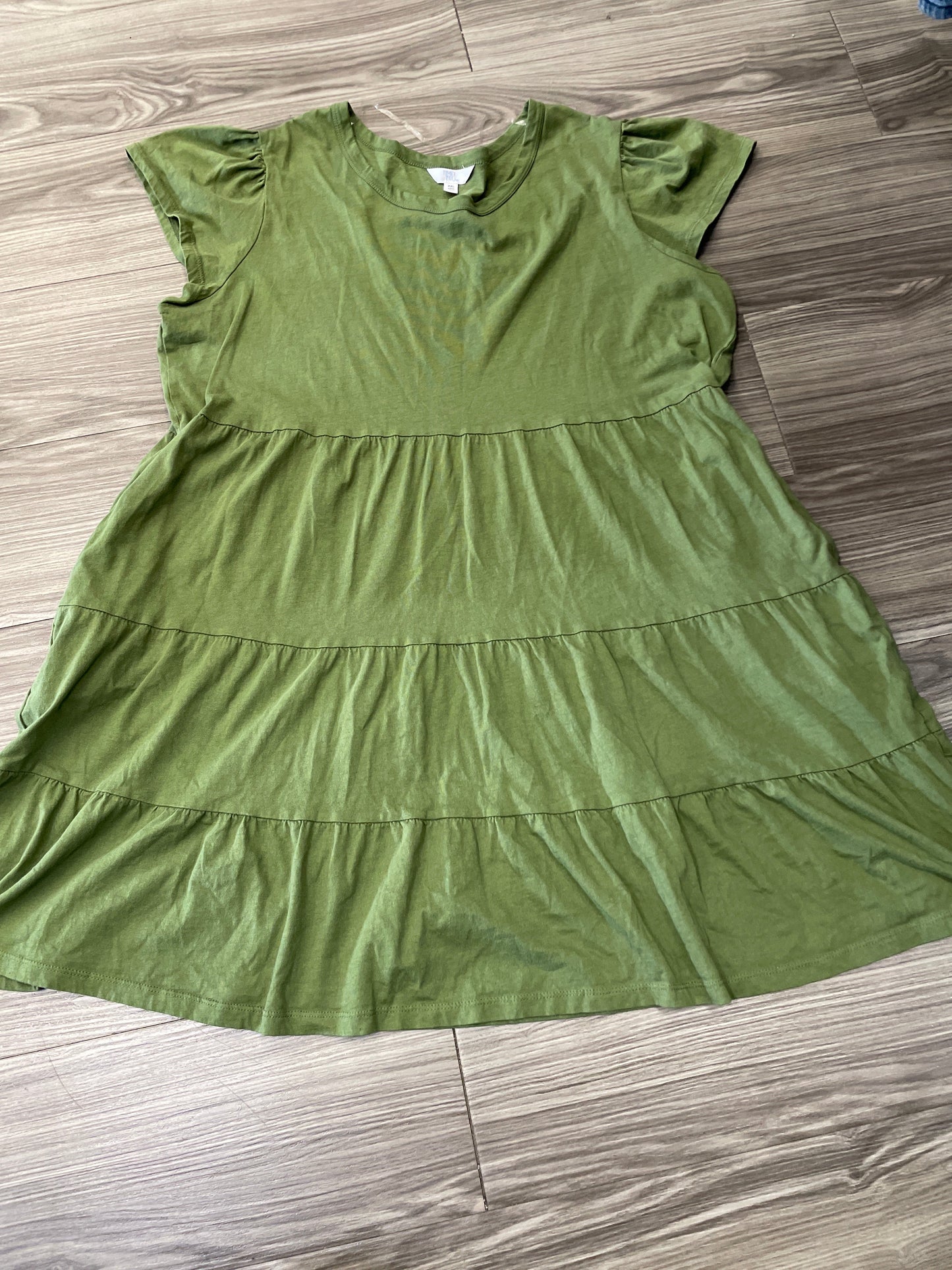 Dress Casual Short By Time And Tru Size: 2x