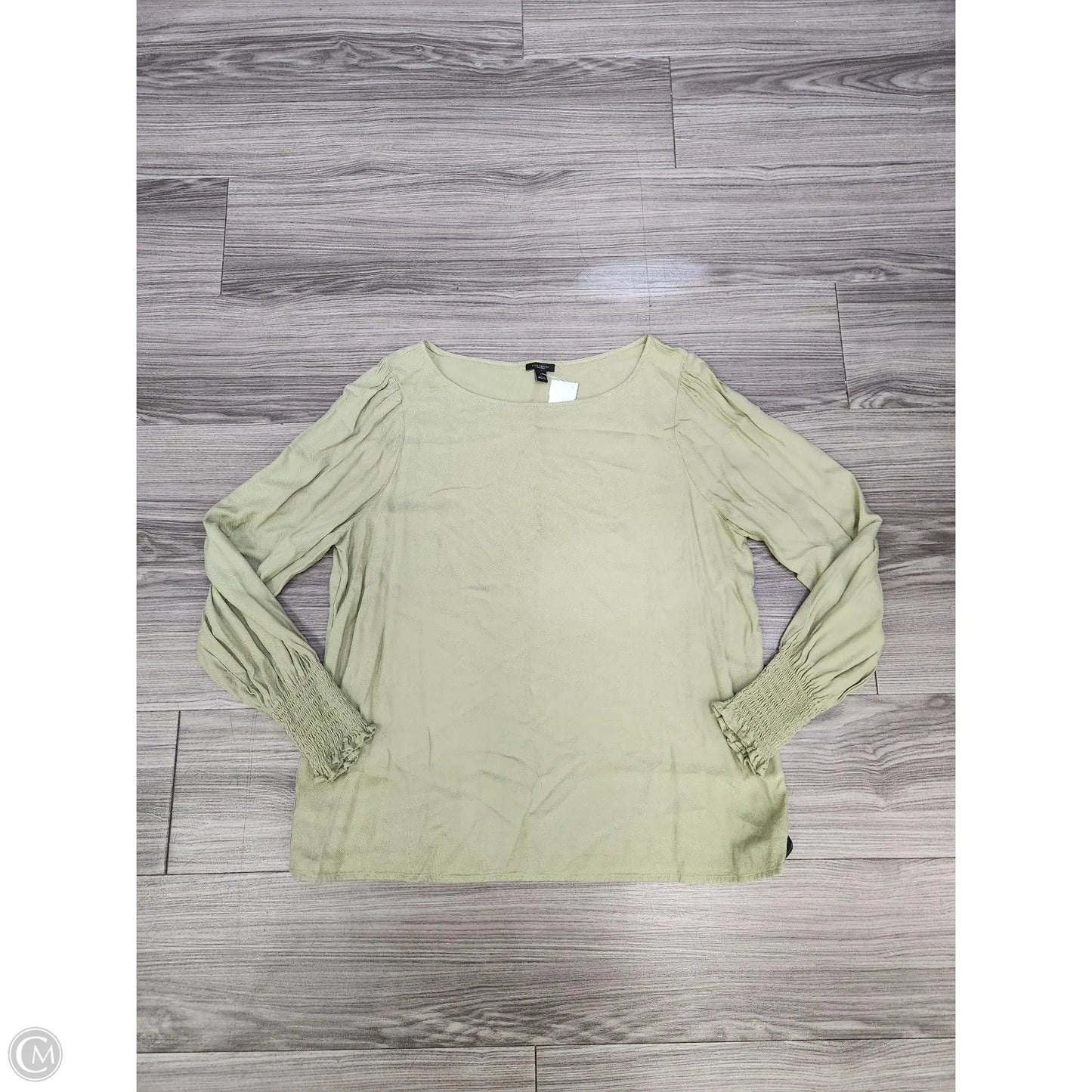 Top Long Sleeve Basic By Ann Taylor In Green, Size: L