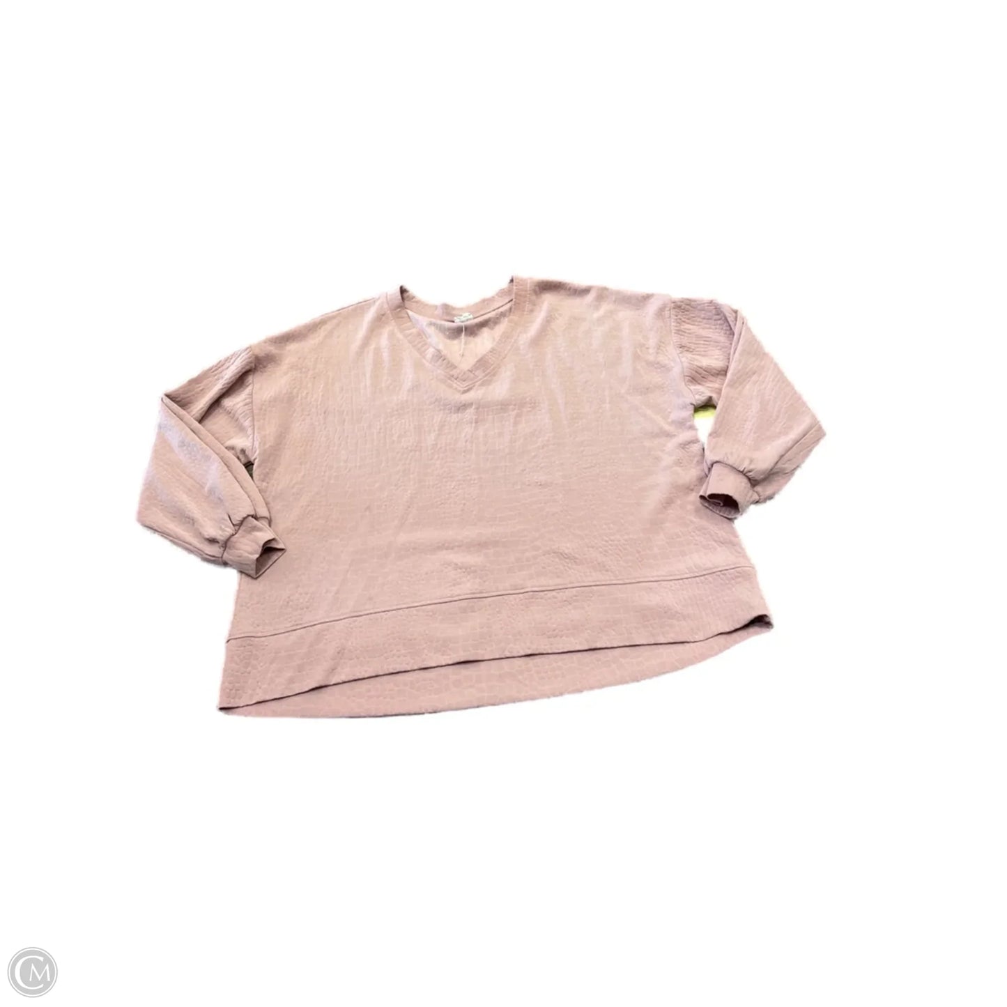 Top Long Sleeve By Cable And Gauge In Pink, Size: 1x