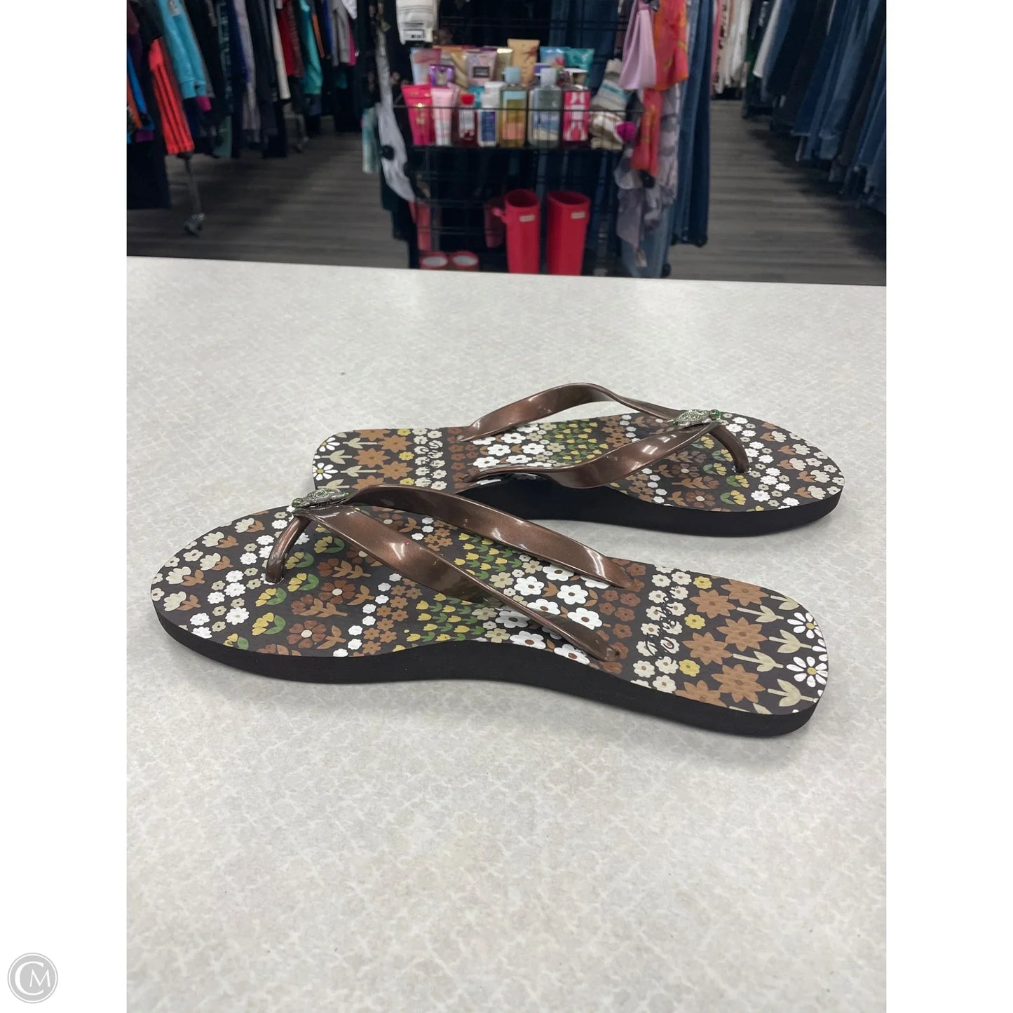 Sandals Flip Flops By Brighton In Brown, Size: 9
