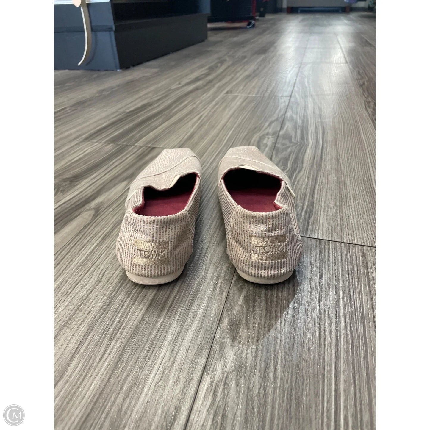 Shoes Flats By Toms In Tan, Size: 5.5