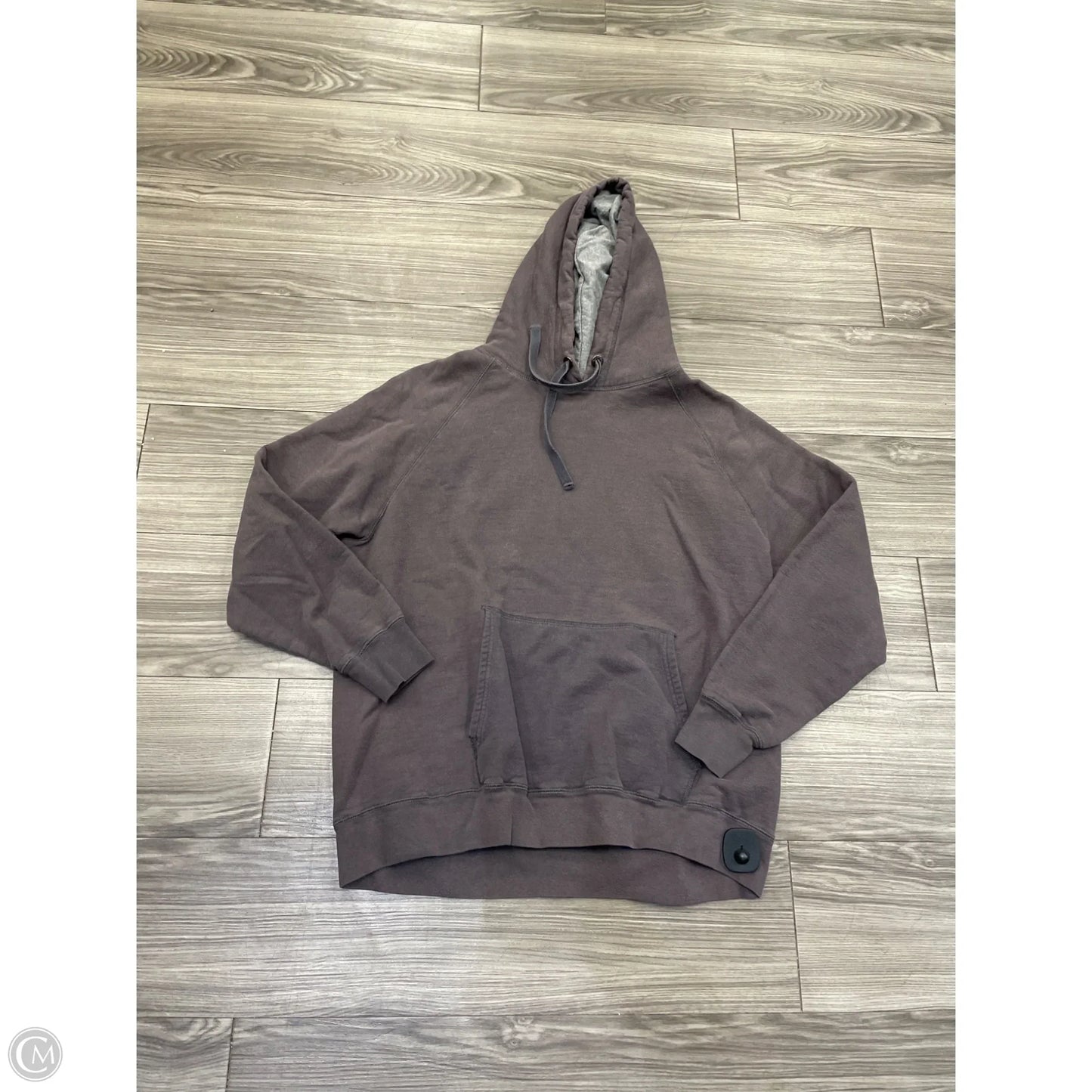 Sweatshirt Hoodie By Hanes In Brown, Size: Xl