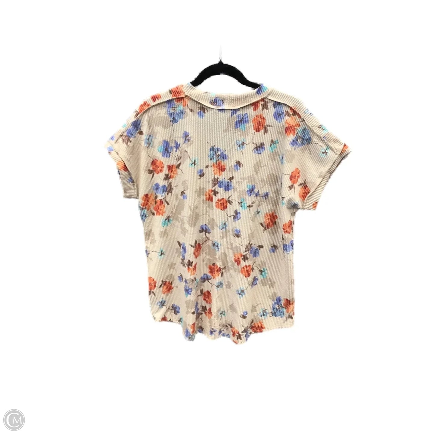 Top Short Sleeve By Heimish Usa In Pink, Size: 1x