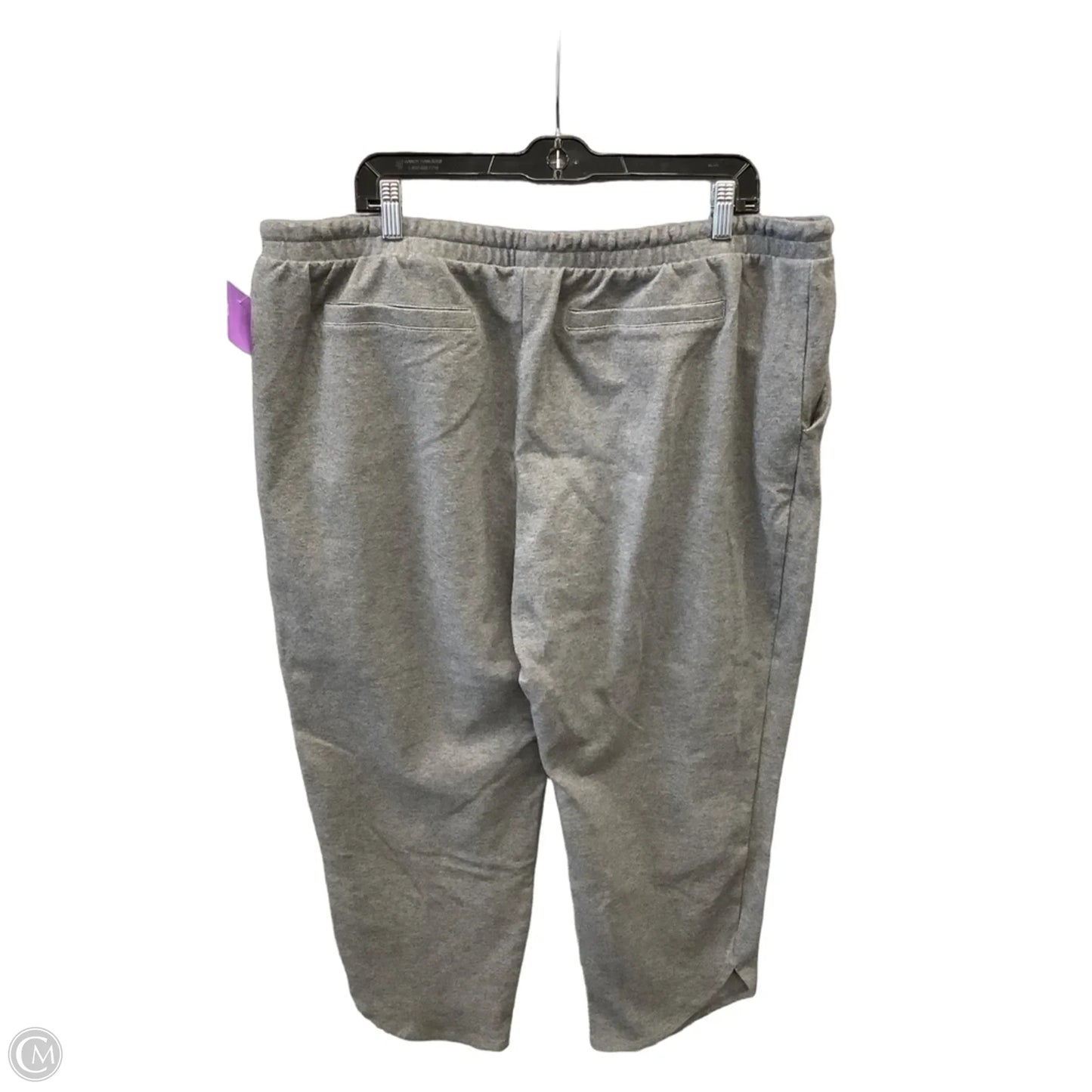 Pants Other By Time And Tru In Grey, Size: 20