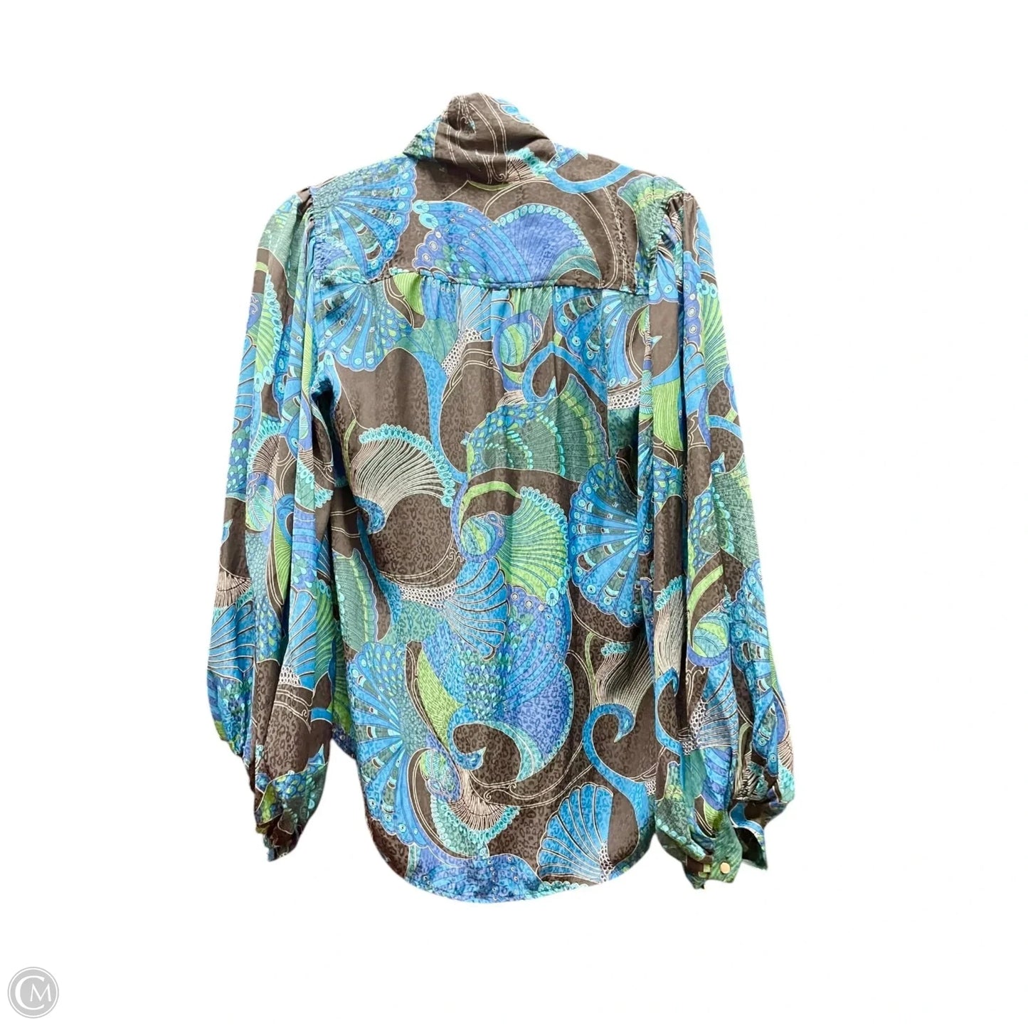 Top Long Sleeve By Chicos In Blue & Green, Size: S