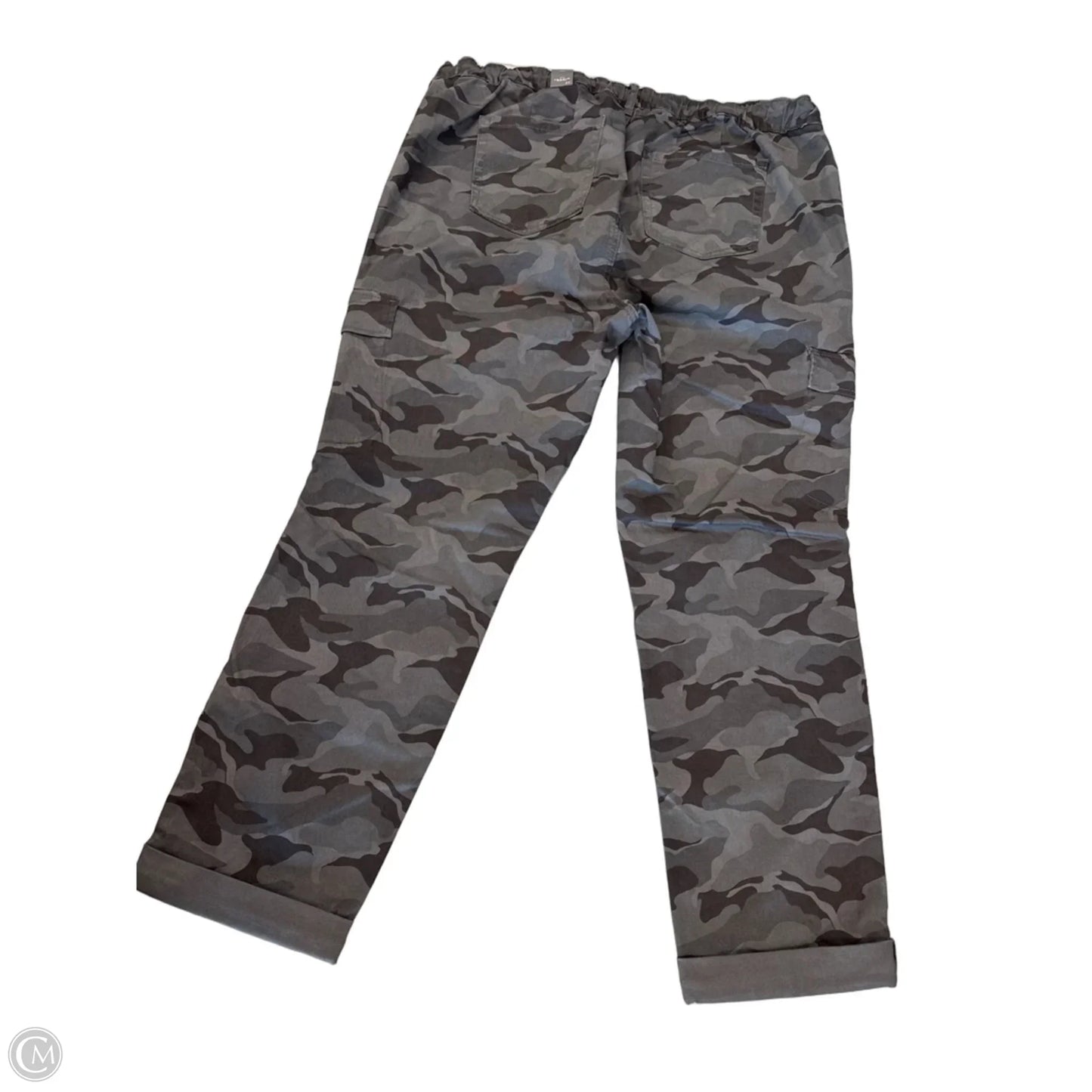 Pants Cargo & Utility By Torrid In Camouflage Print, Size: 3XT