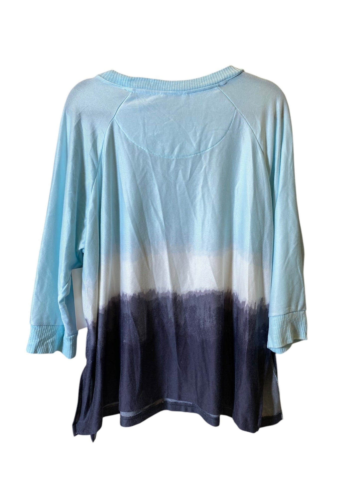 Top Long Sleeve By Secret Treasures In Blue, Size: 2x