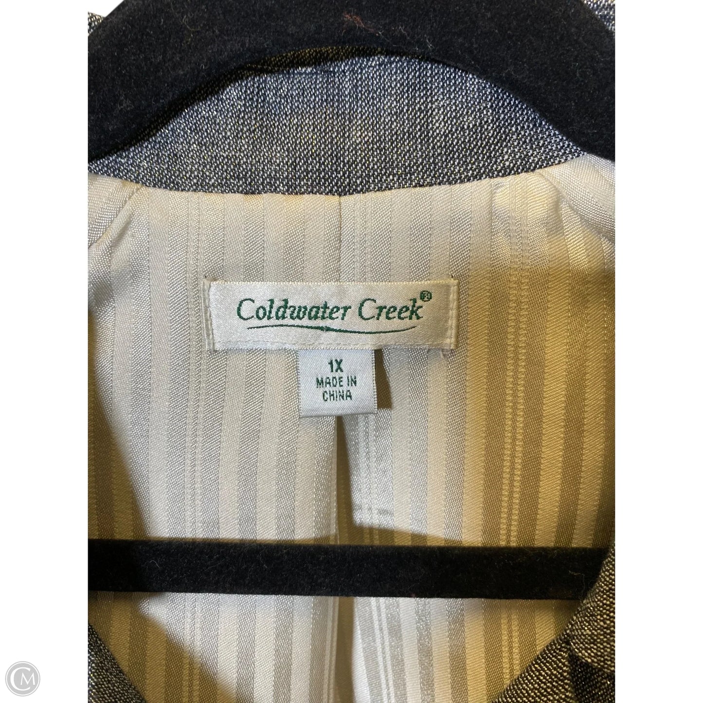 Blazer By Coldwater Creek In Silver, Size: 1x