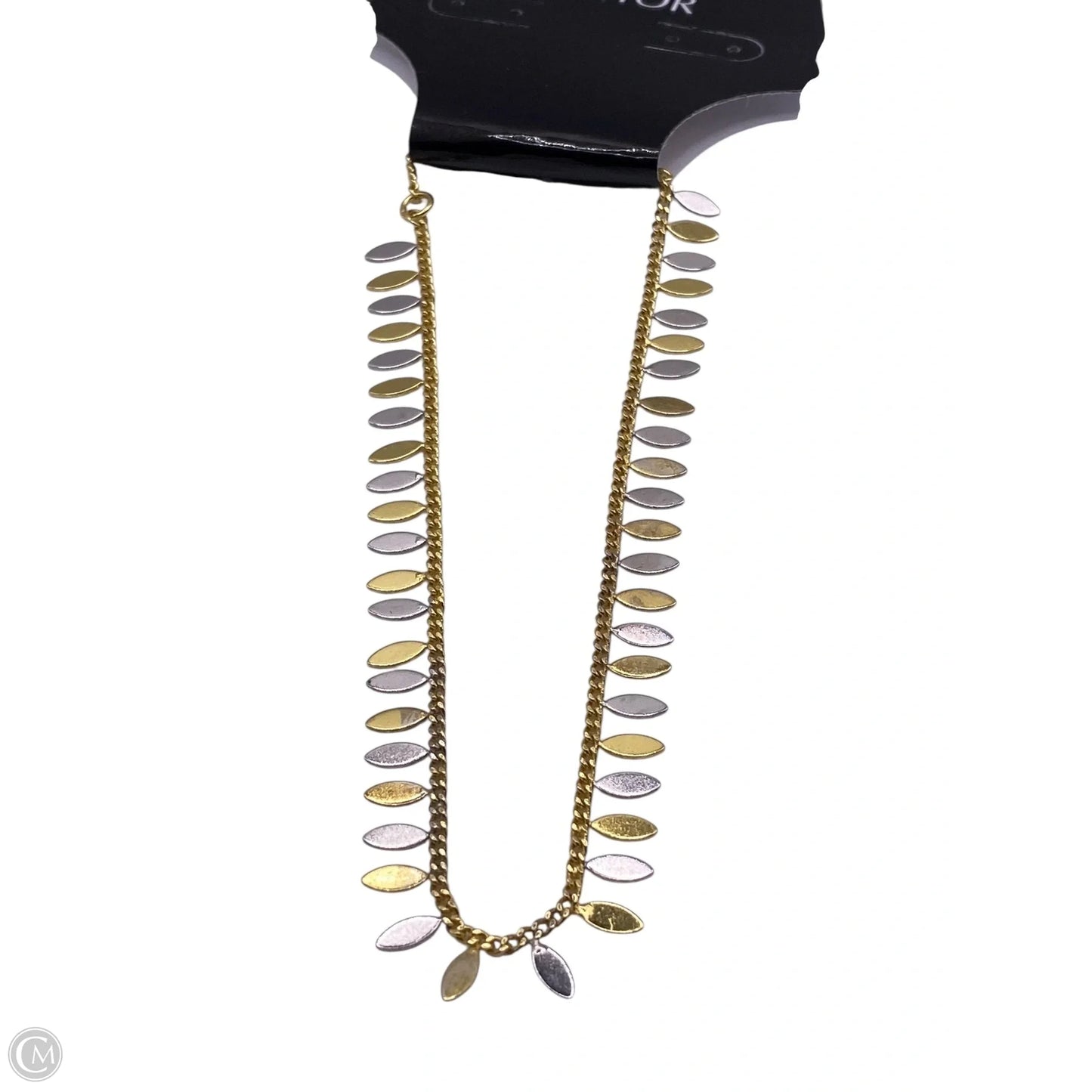 Bracelet Chain By Kendra Scott