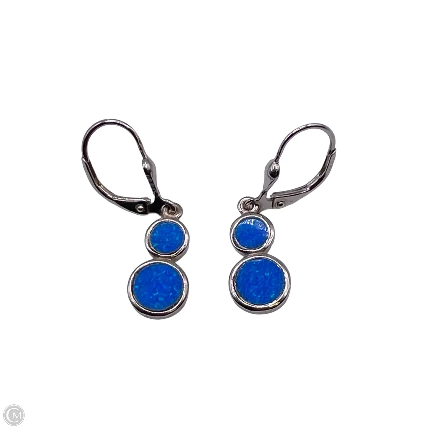 Earrings Dangle/drop By Clothes Mentor