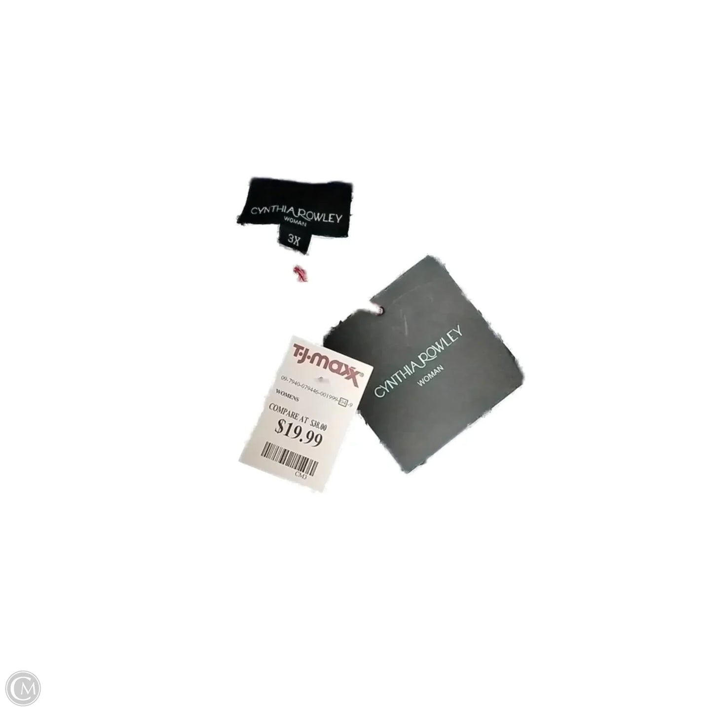 Top Short Sleeve By Cynthia Rowley In Blue & White, Size: 3x