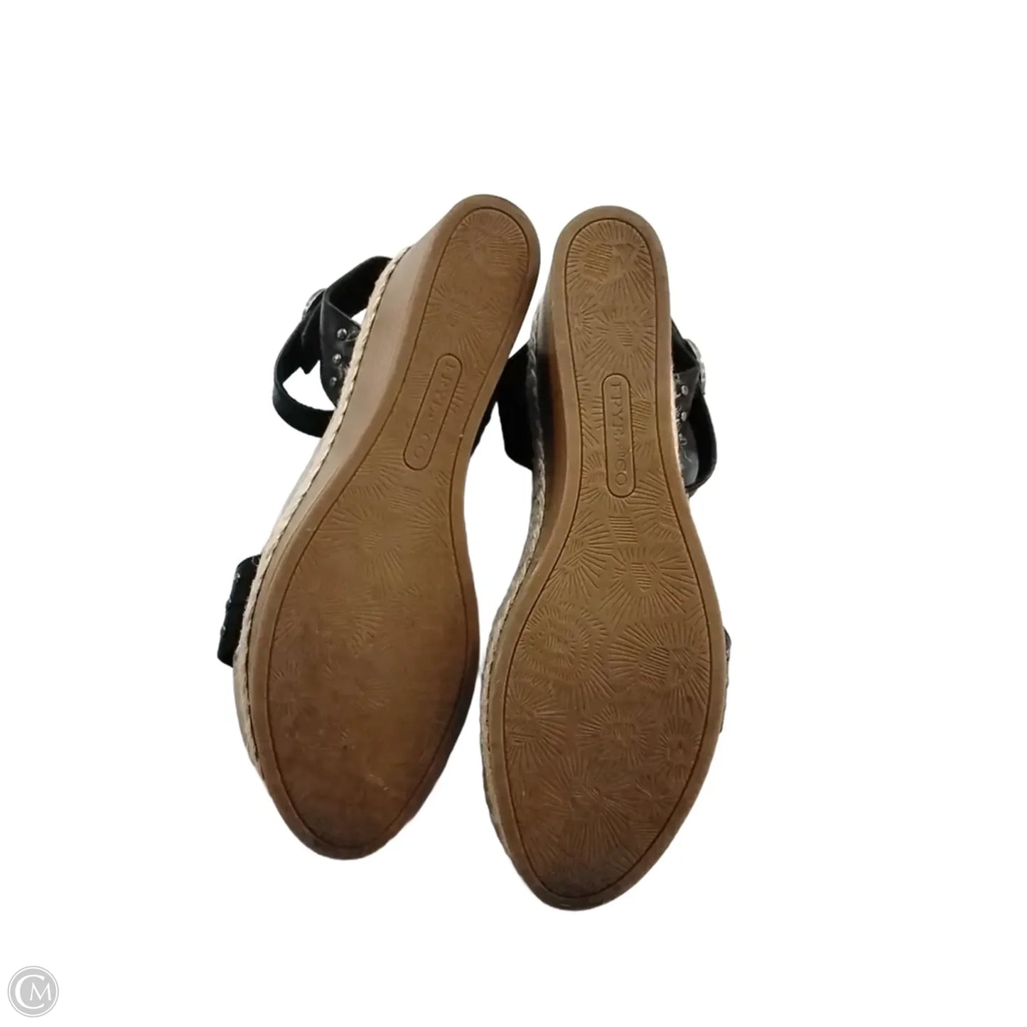 Shoes Heels Wedge By Frye And Co In Black, Size: 10