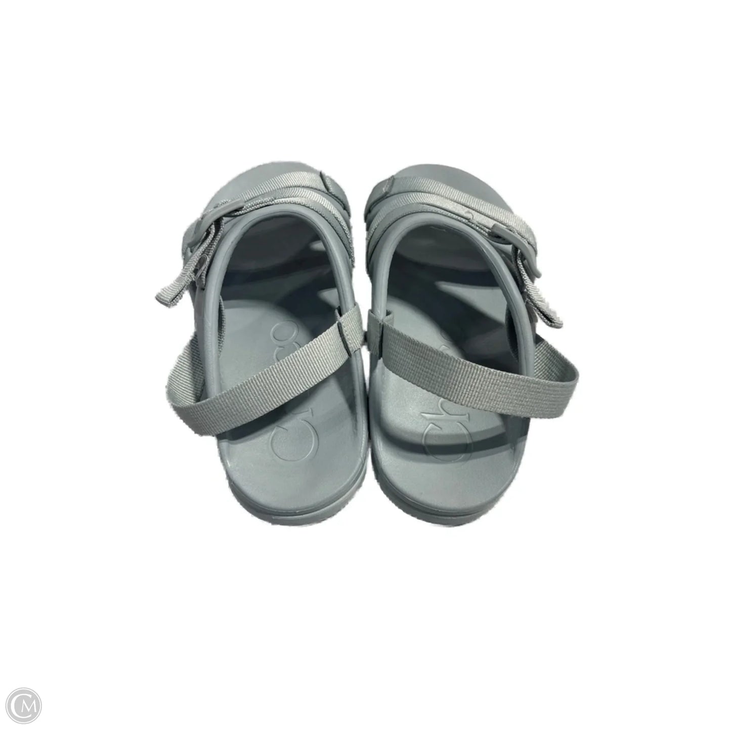 Sandals Flats By Chacos In Blue, Size: 6