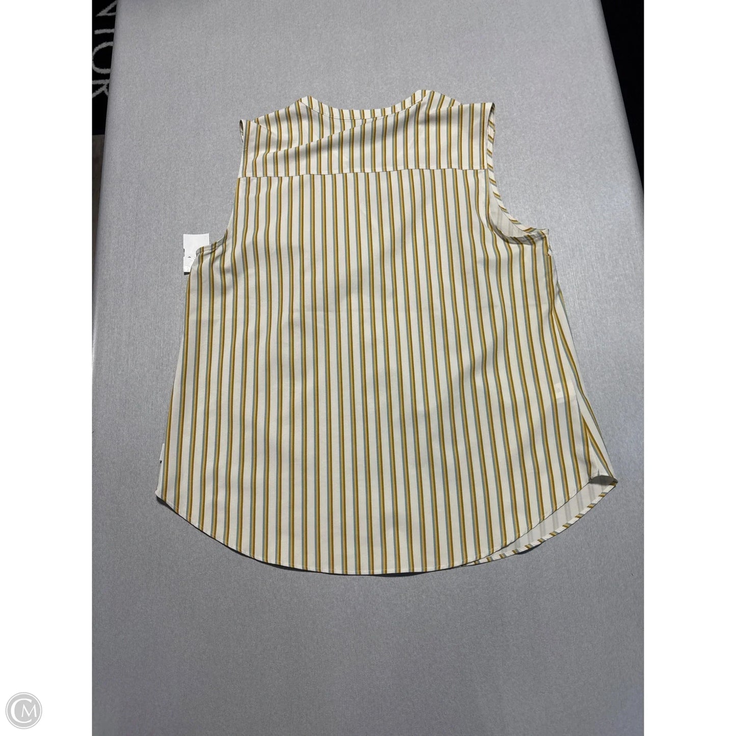 Top Sleeveless By Eddie Bauer In Striped Pattern, Size: M