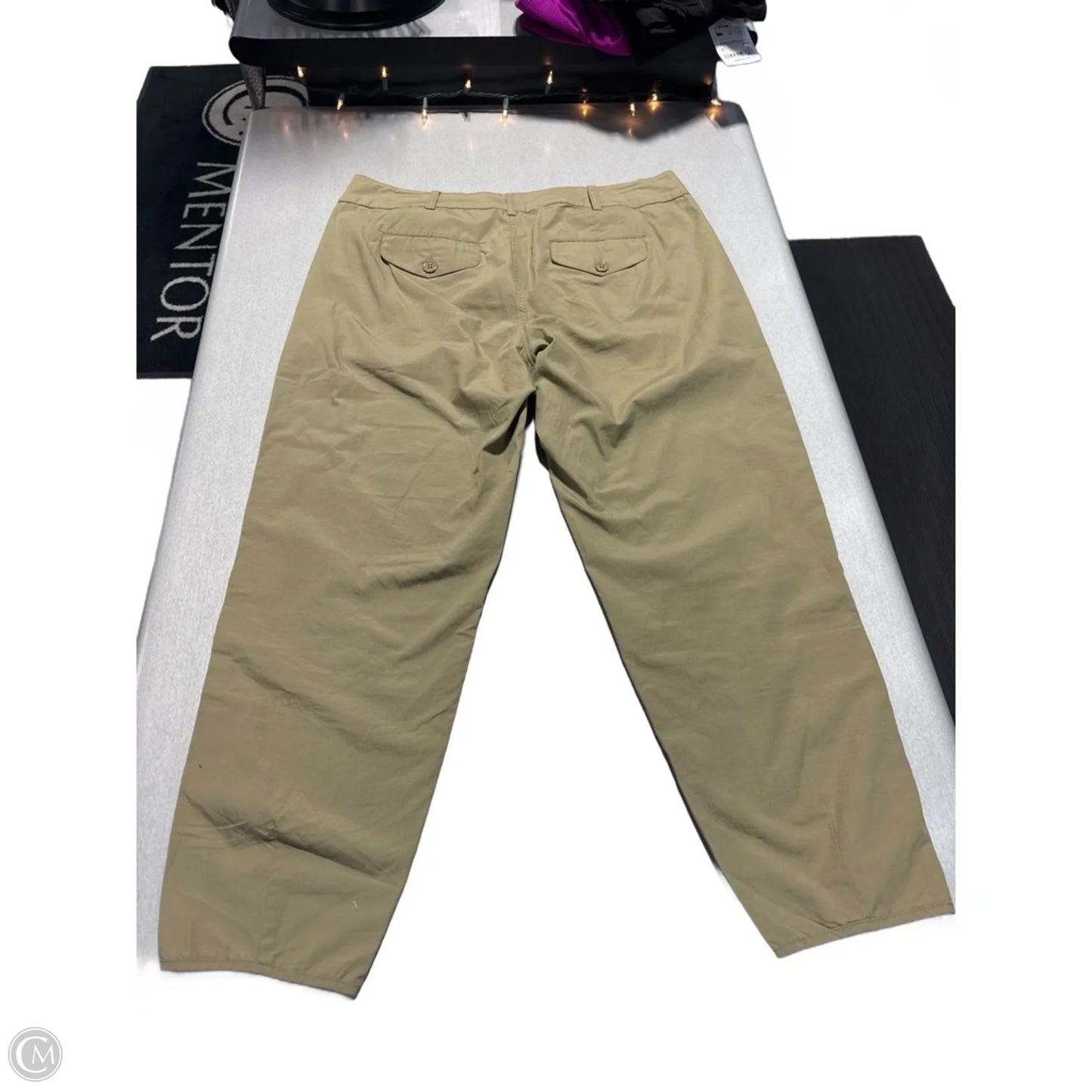 Pants Linen By Kut In Tan, Size: 12