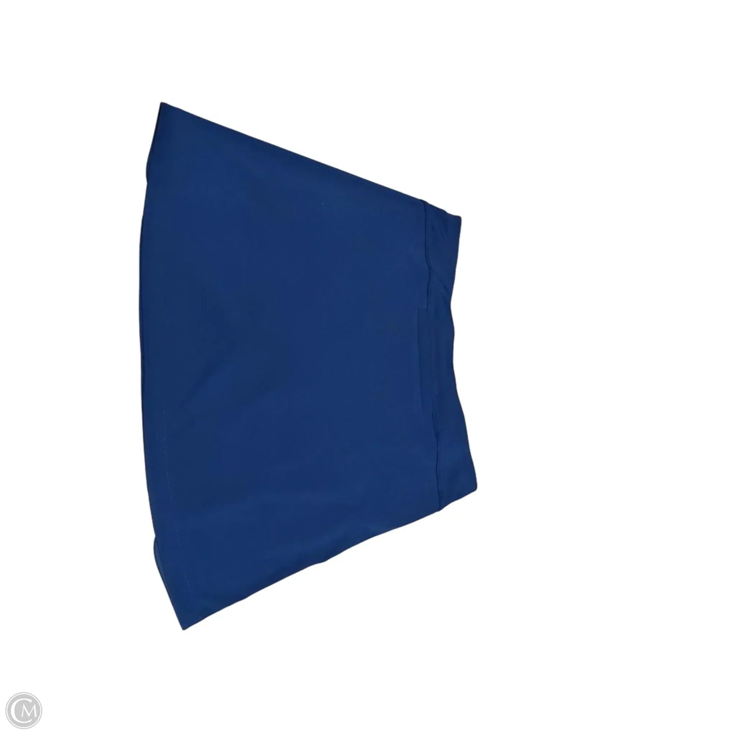 Athletic Skort By Clothes Mentor In Blue, Size: L