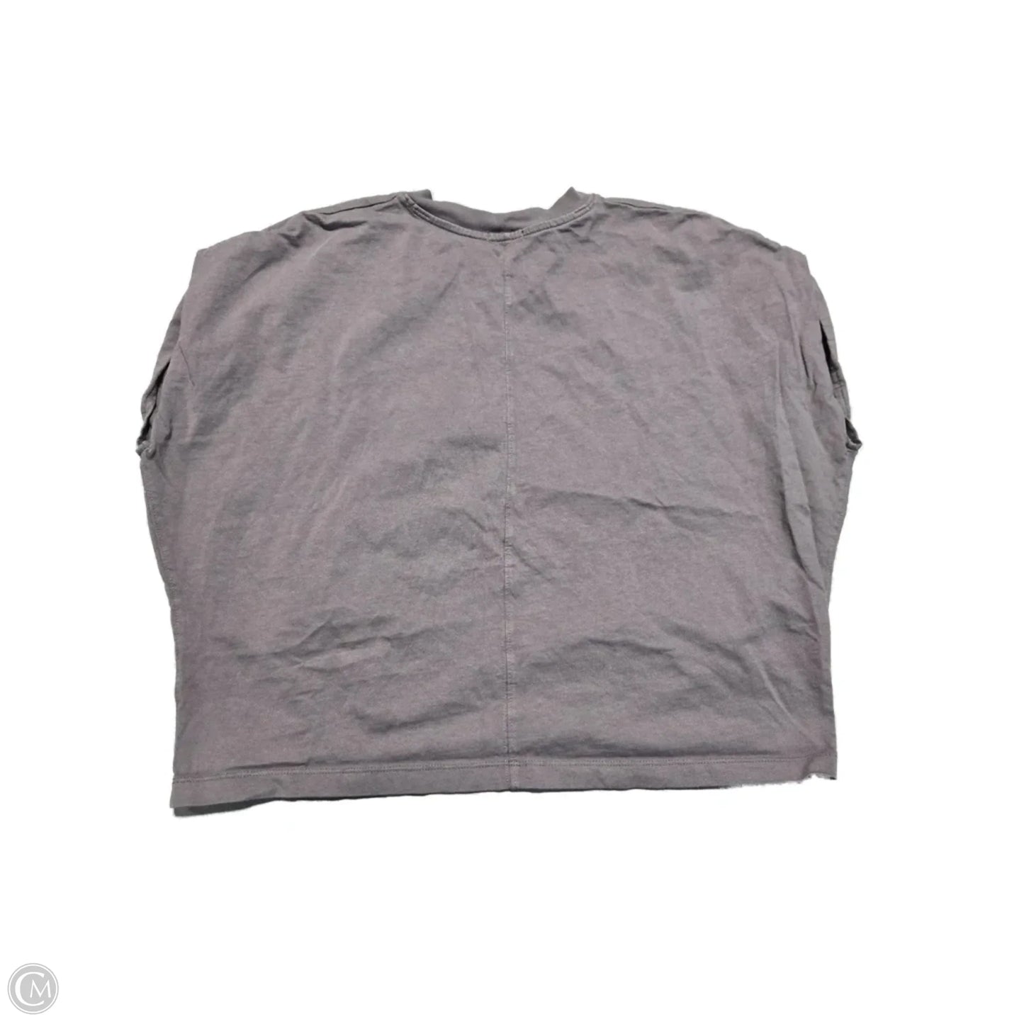 Top Sleeveless By Cmc In Grey, Size: Xl