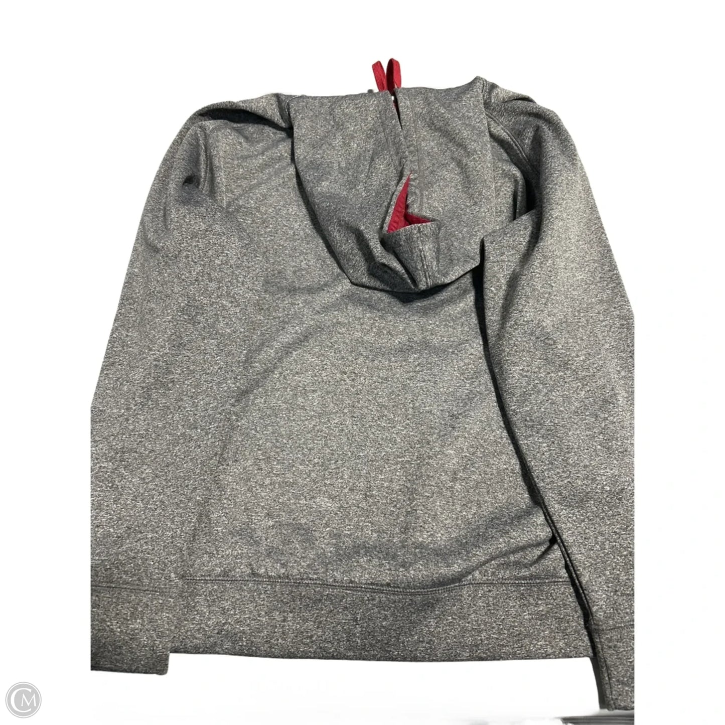 Sweatshirt Hoodie By Champion In Grey, Size: L