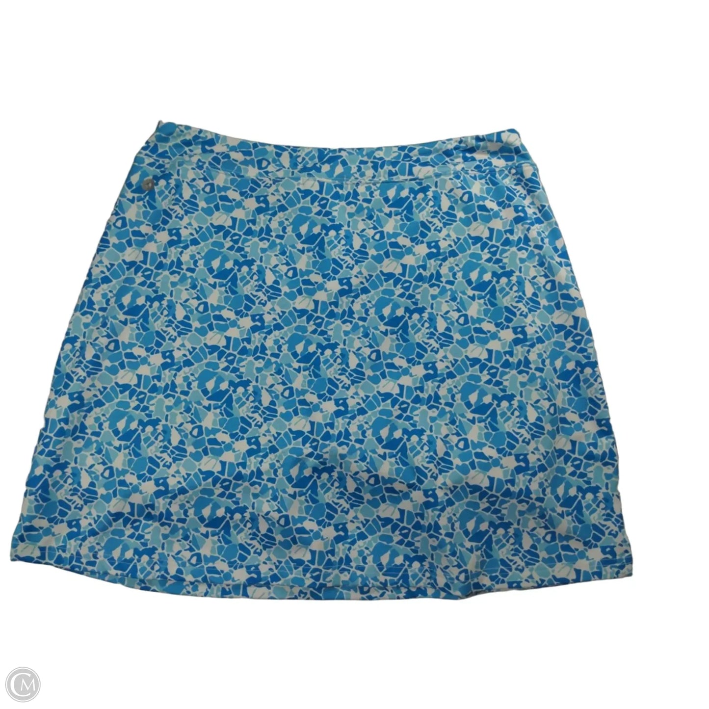 Athletic Skirt By Ekouaer In Blue & White, Size: L