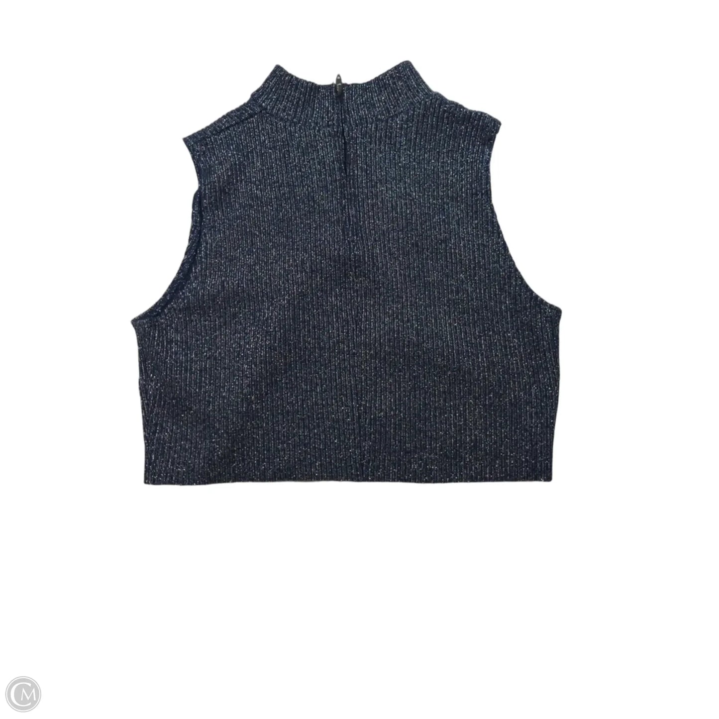 Top Sleeveless By Clothes Mentor In Blue & Silver, Size: S