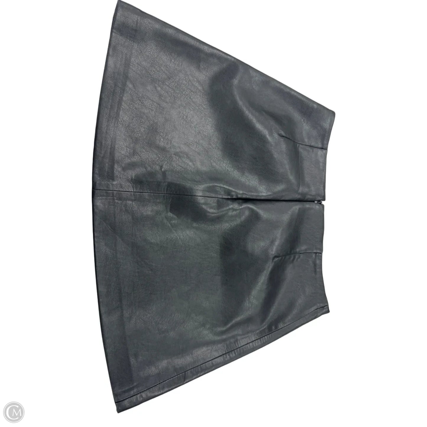 Skirt Mini & Short By Zara In Black, Size: 8