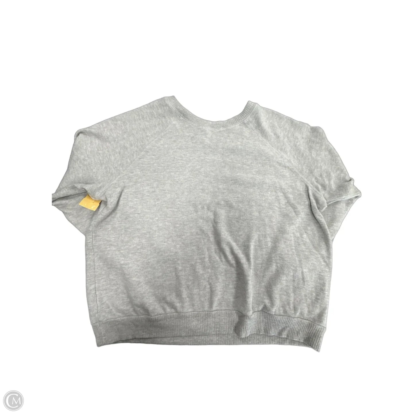 Top Long Sleeve By Project Social Tee In Grey, Size: Xl