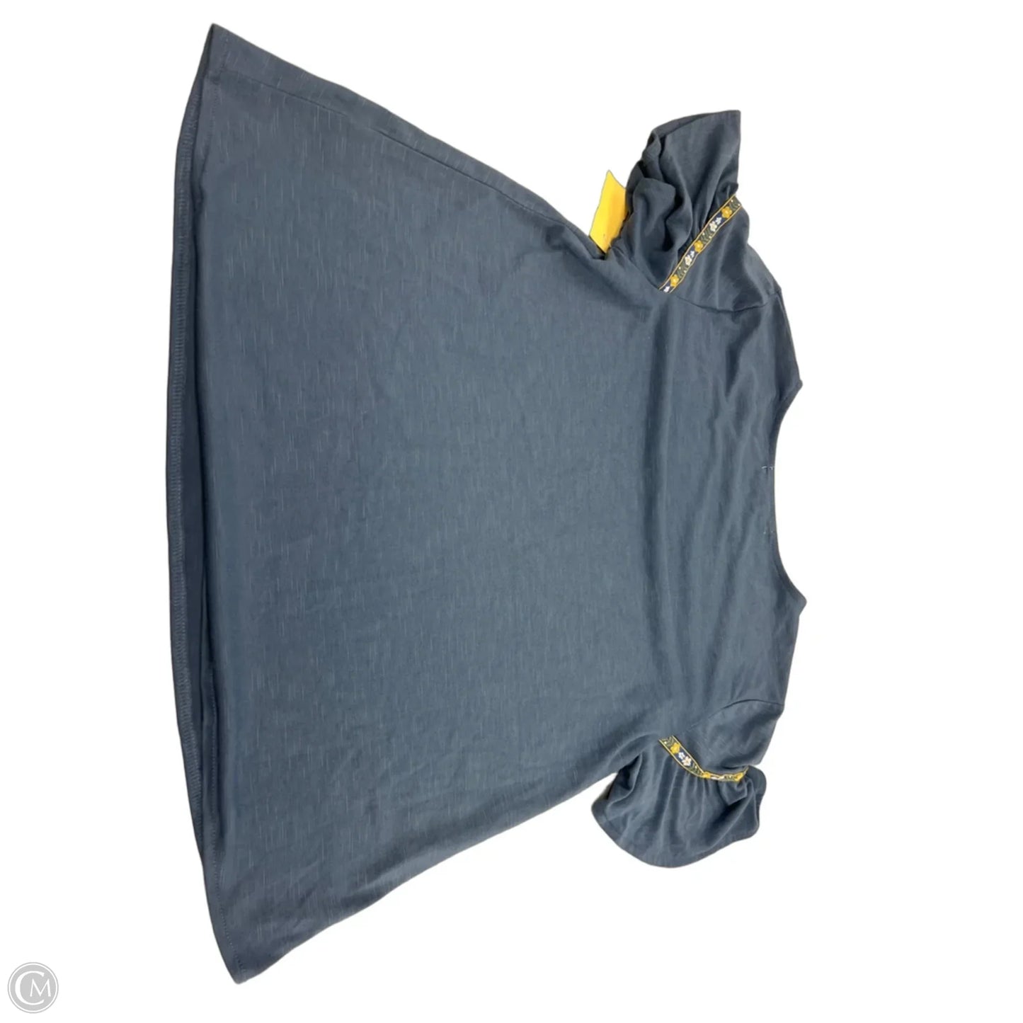 Top Short Sleeve By Wallflower In Blue, Size: M