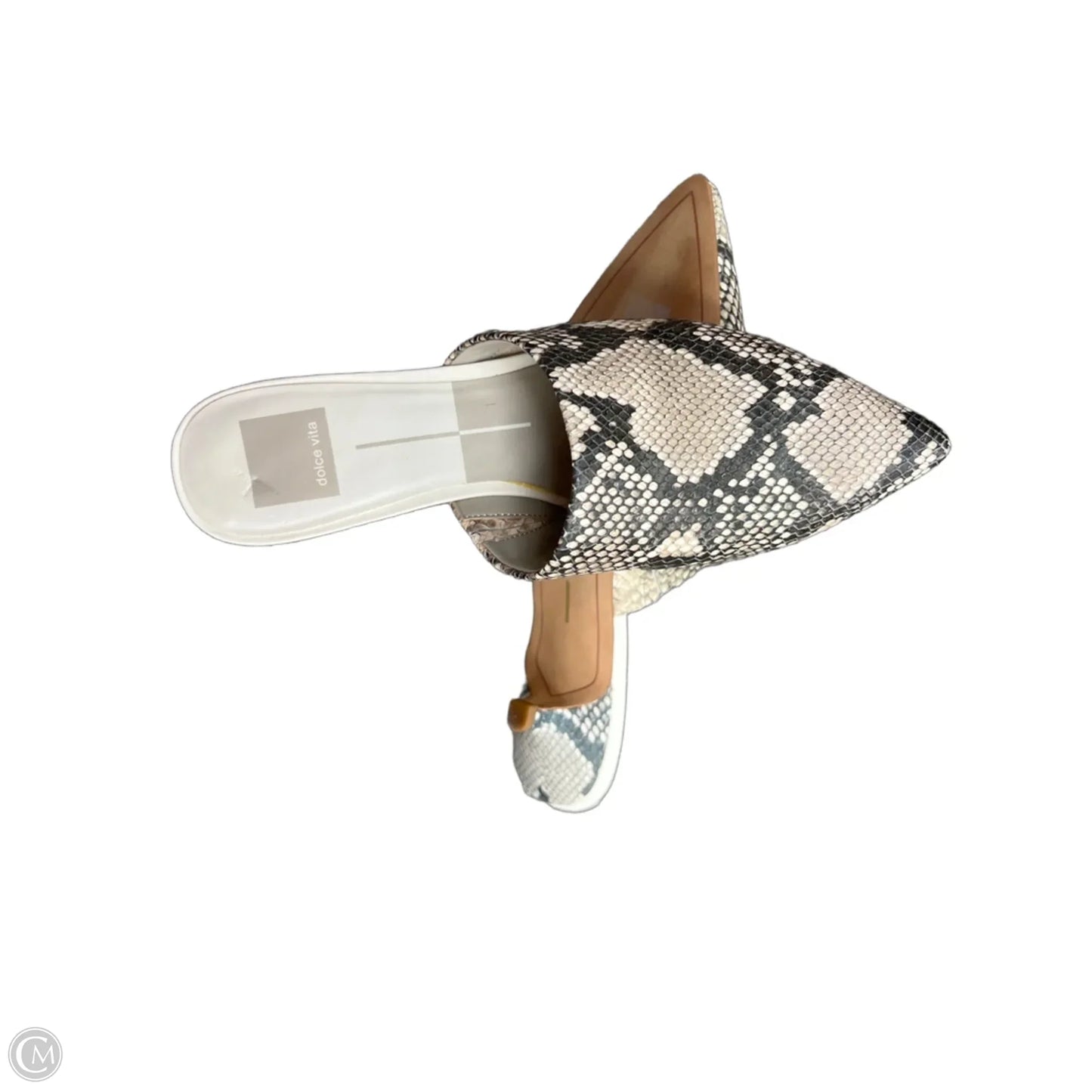 Shoes Heels Kitten By Dolce Vita In Snakeskin Print, Size: 7