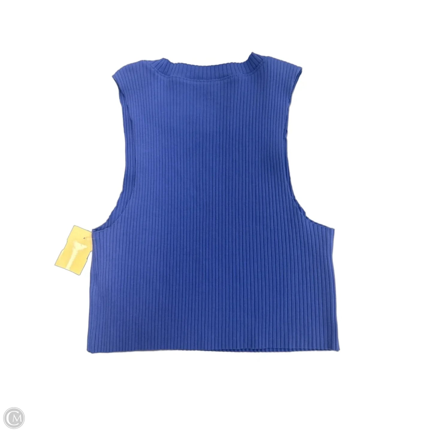 Top Sleeveless By Aerie In Blue, Size: M