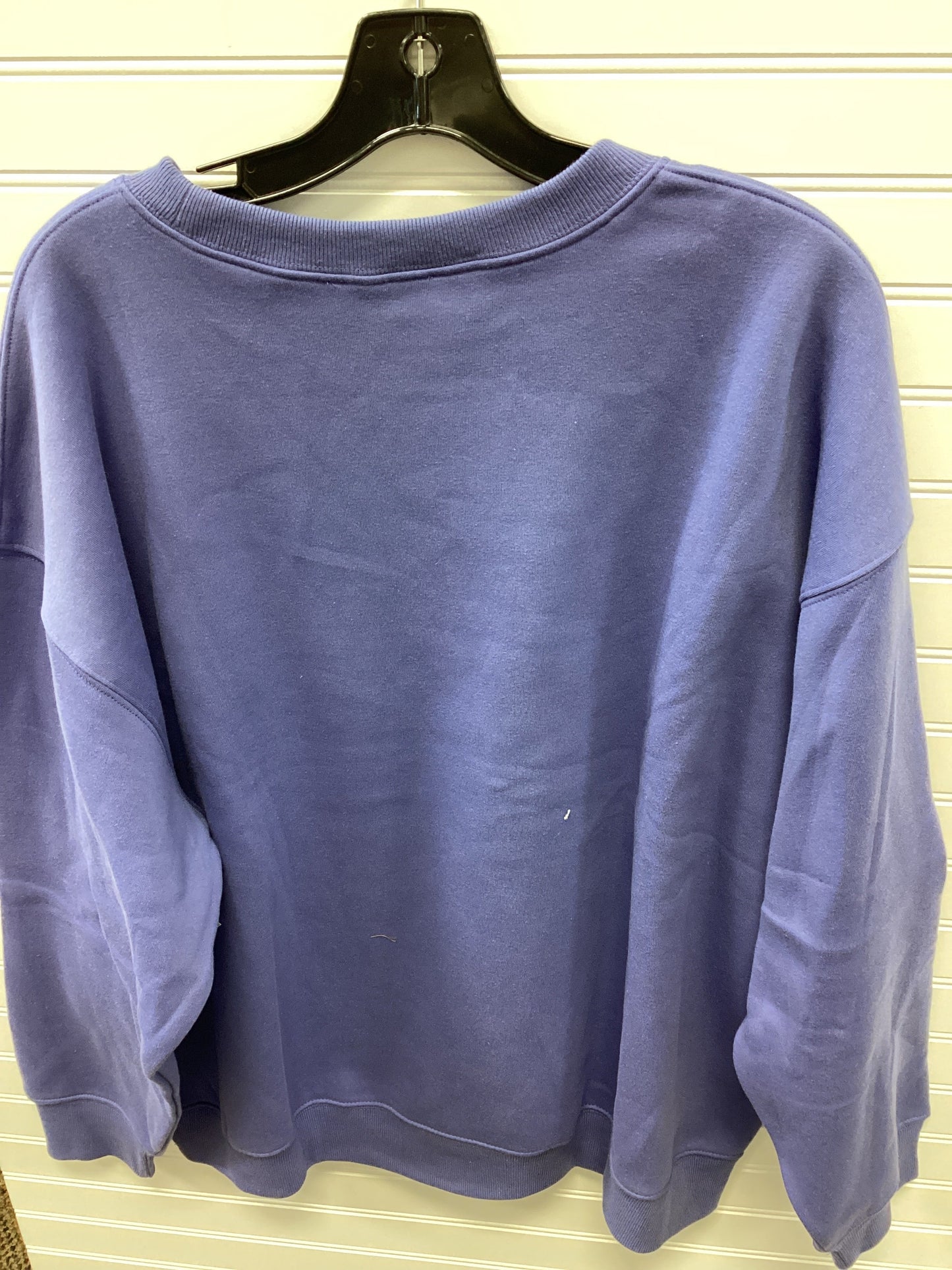 Sweatshirt Crewneck By Zenana Outfitters In Blue, Size:2X