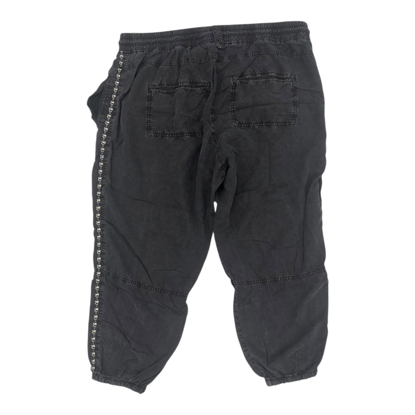 Pants Cargo & Utility By Anthropologie In Grey, Size:2X